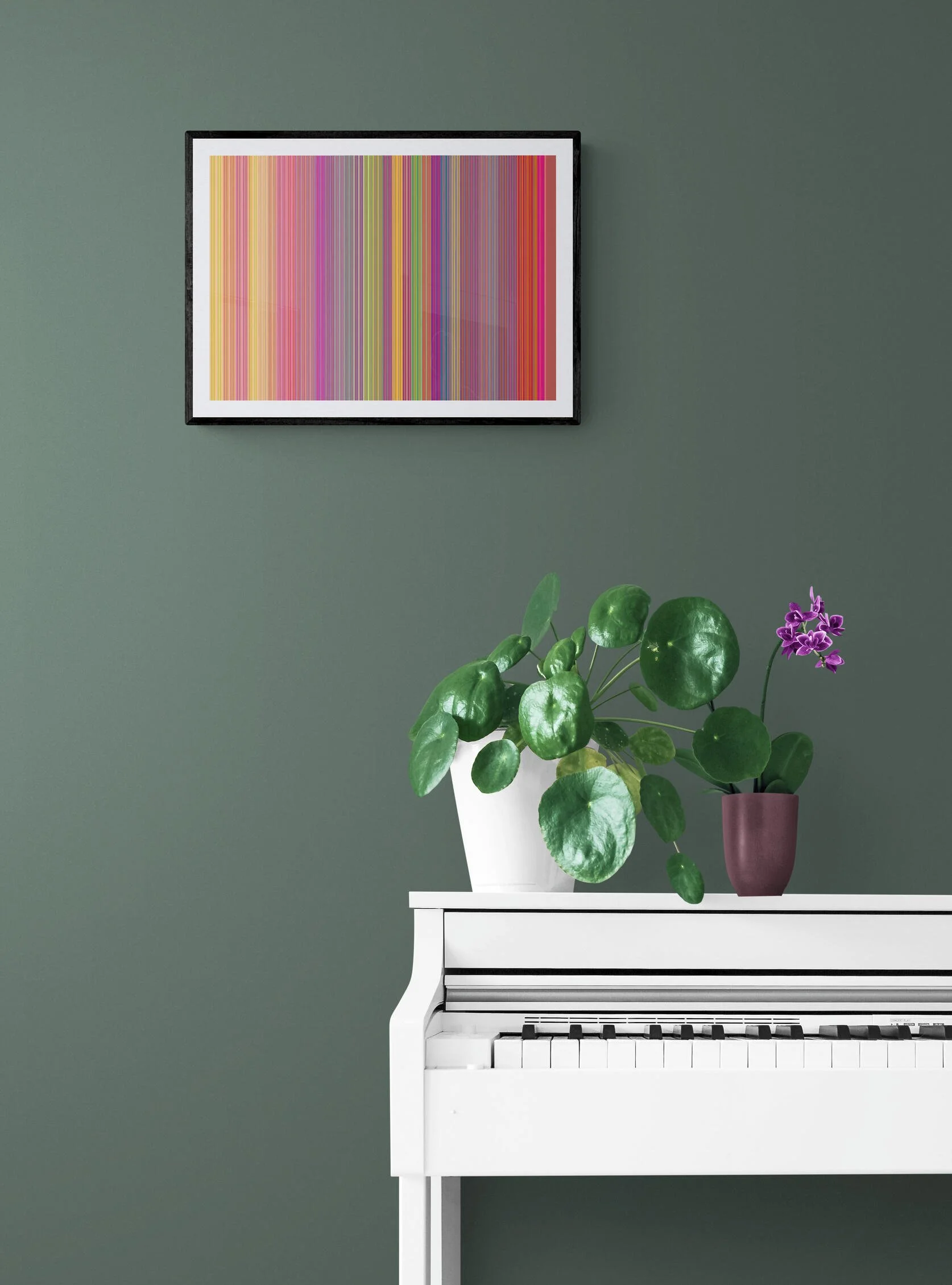 indoor-plants-sitting-on-a-white-piano.jpg
