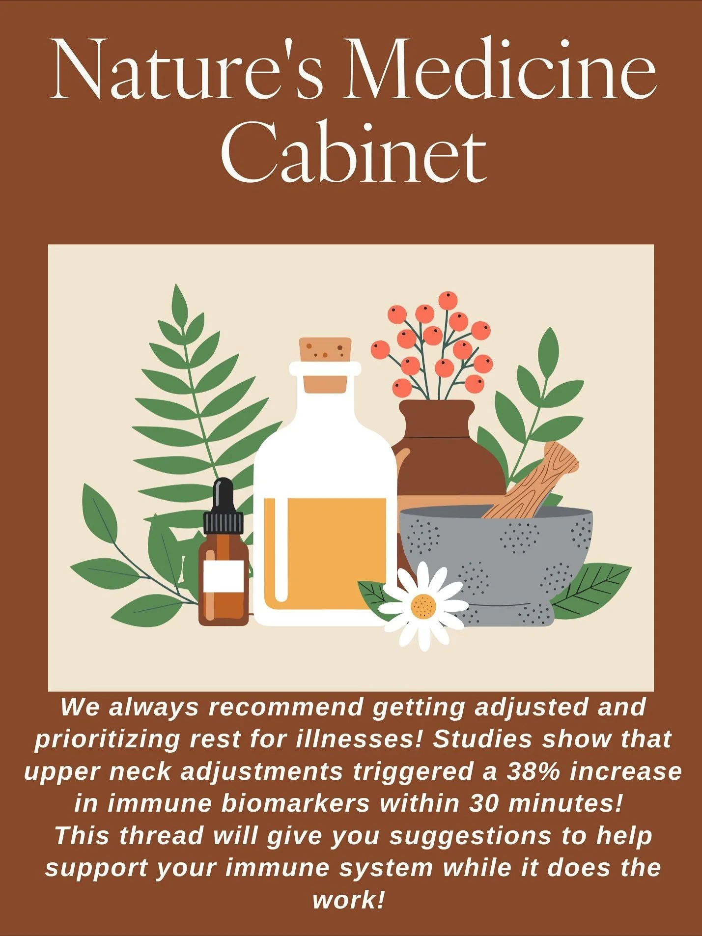 Nature&rsquo;s medicine cabinet: start with a chiropractic adjustment to optimize your neuro-immune system! Then support your recovery with the healing power of herbs and supplements!