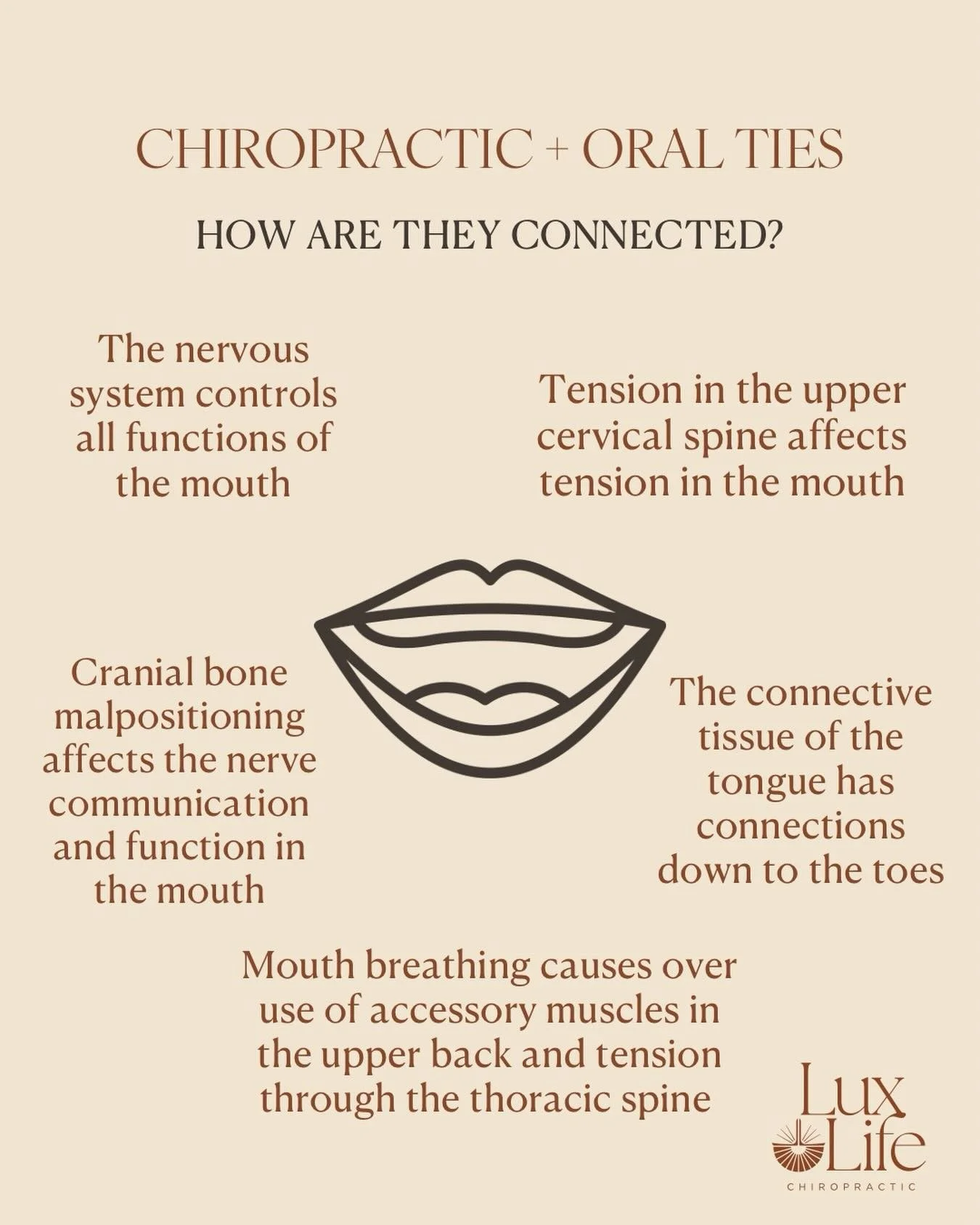 🧠👄 Chiropractic + Oral Ties: How are they connected?

Oral function doesn&rsquo;t exist in isolation &mdash; it&rsquo;s part of the whole nervous system and body.

&bull; The nervous system controls the mouth
Cranial nerves regulate tongue movement