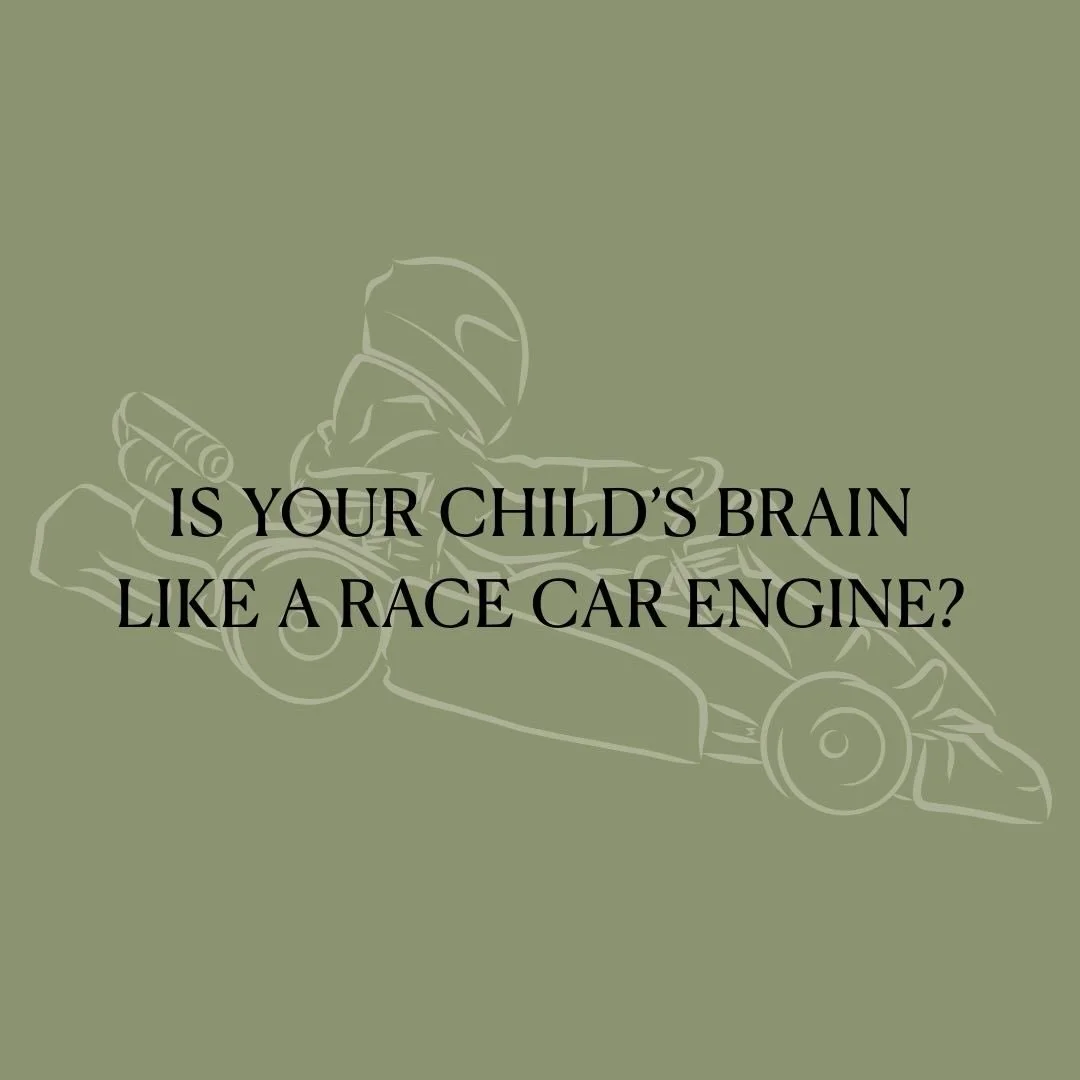 Ever heard the phrase &ldquo;race car brain with bicycle brakes&rdquo;?🏎️🚲

Some kids have brains that move fast. They think fast, feel big emotions, and react quickly. That&rsquo;s the race car.

Inside all of us is a nervous system with two main 