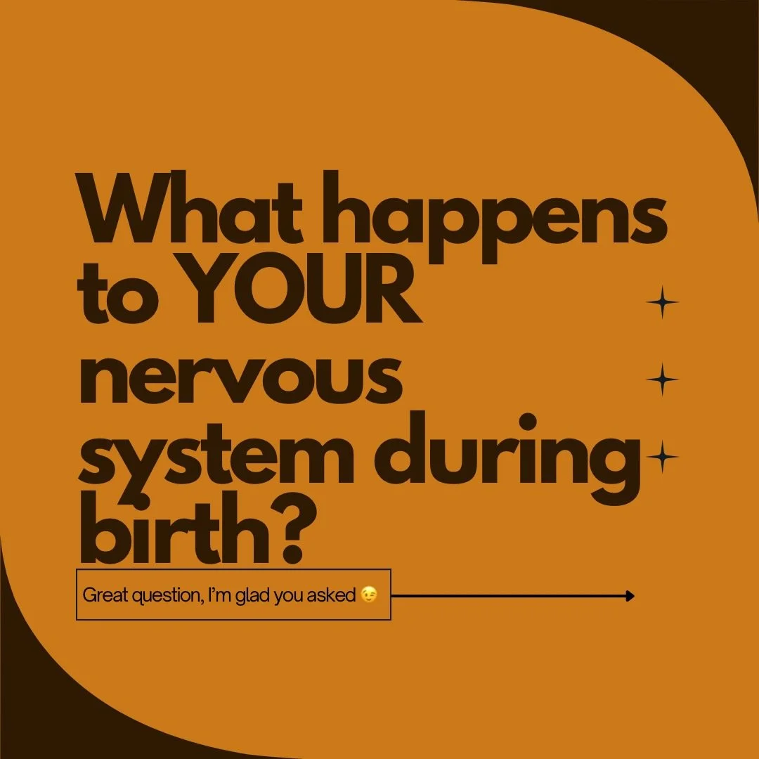 Birth is not just a physical event&hellip; it&rsquo;s a nervous system event and a relational one. ❤️

One of the many reasons families choose prenatal chiropractic care are because gentle adjustments can help: 
- reduce nervous system stress
- suppo