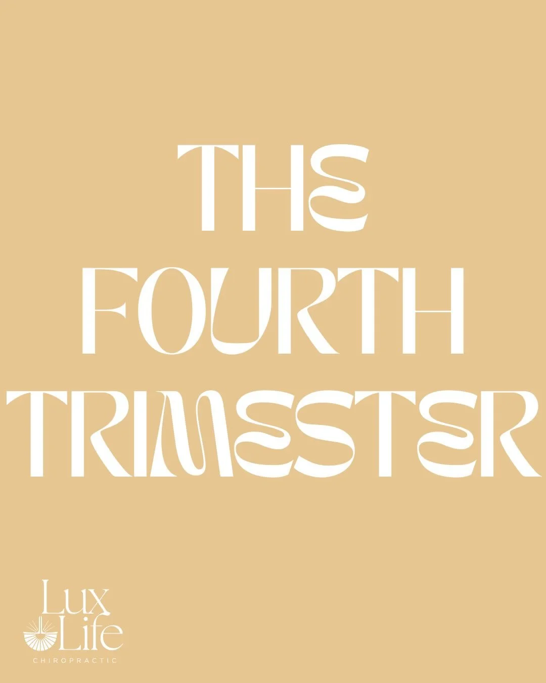 The fourth trimester, have you heard of it? 👩&zwj;🍼💛