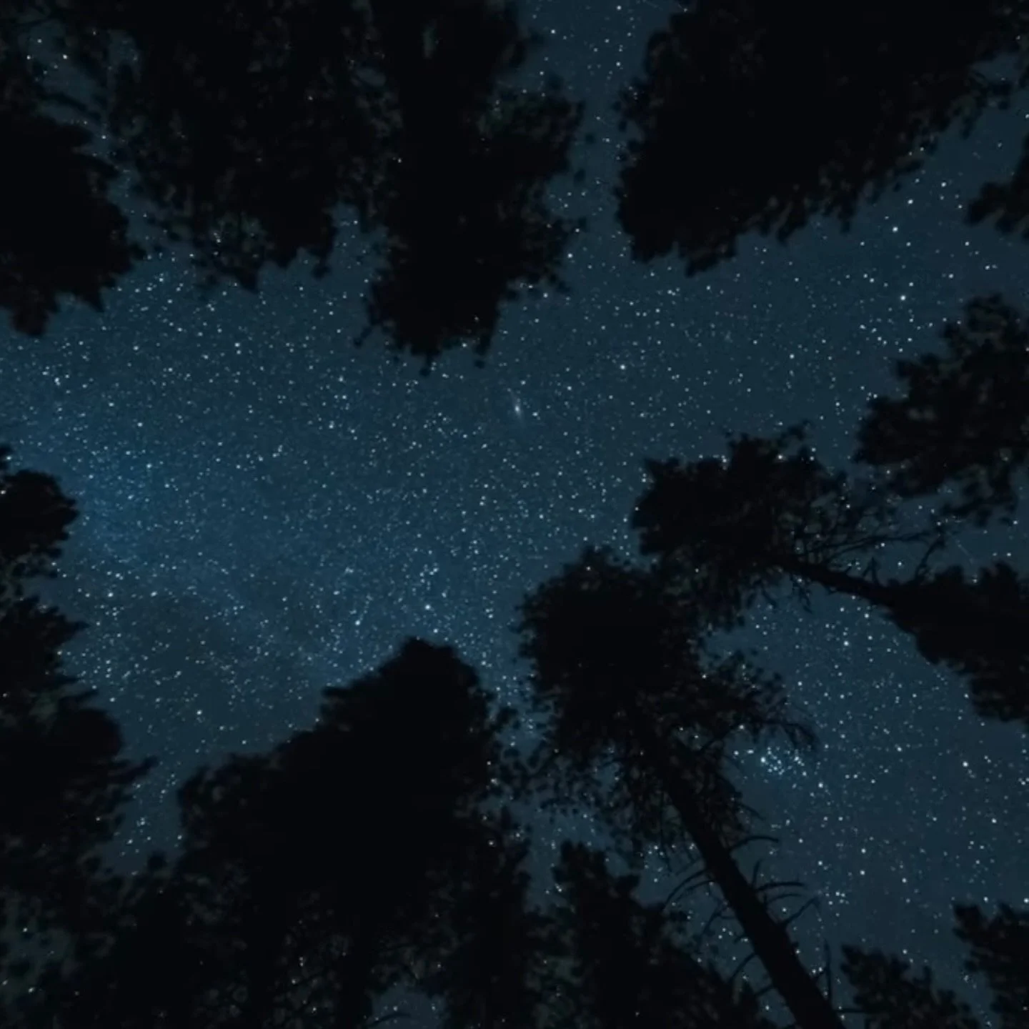 The third episode of my docu-series Bigfoot: Mountains of Mystery goes live later today on YouTube! If you&rsquo;ve been following the show at all you know that in the last episode I focused on the story of Justin Smeja, who claimed to have shot and 