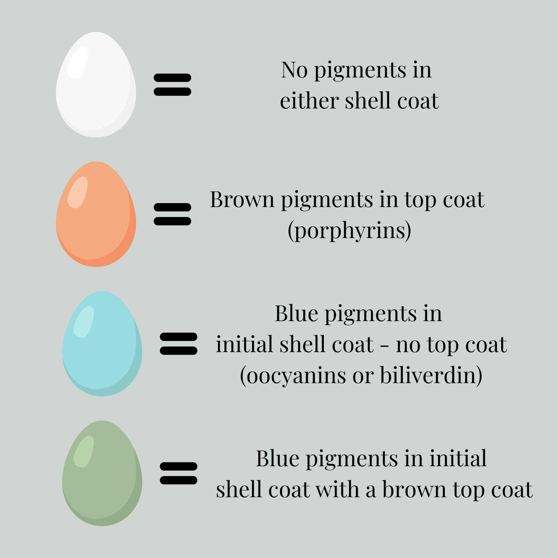 Don’t walk on eggshells…describe them