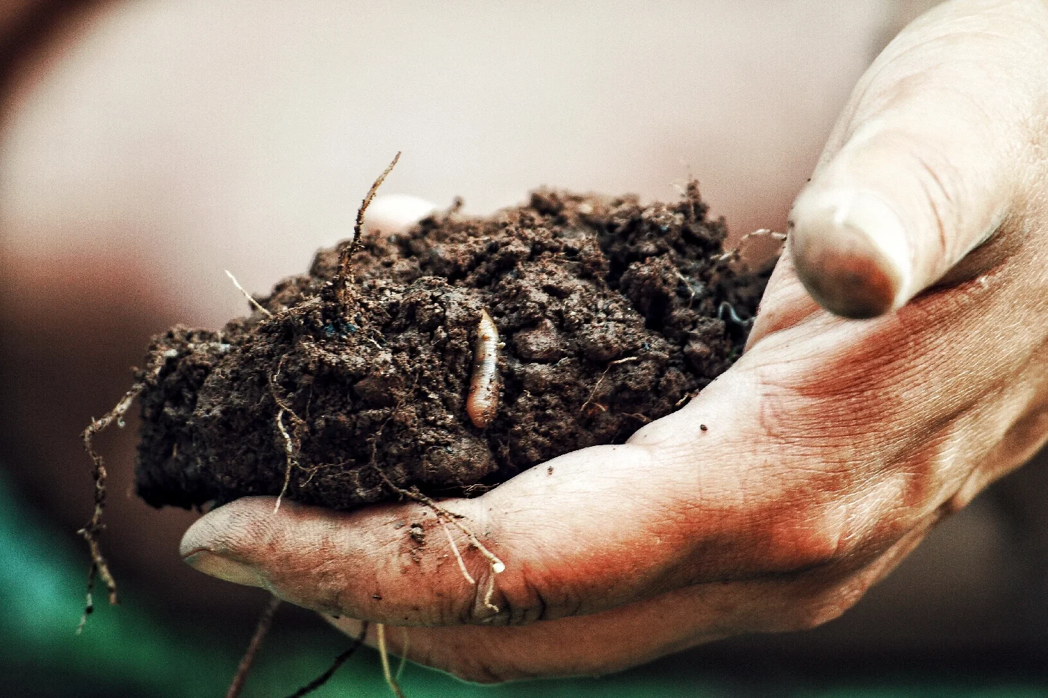What’s the problem with agriculture?