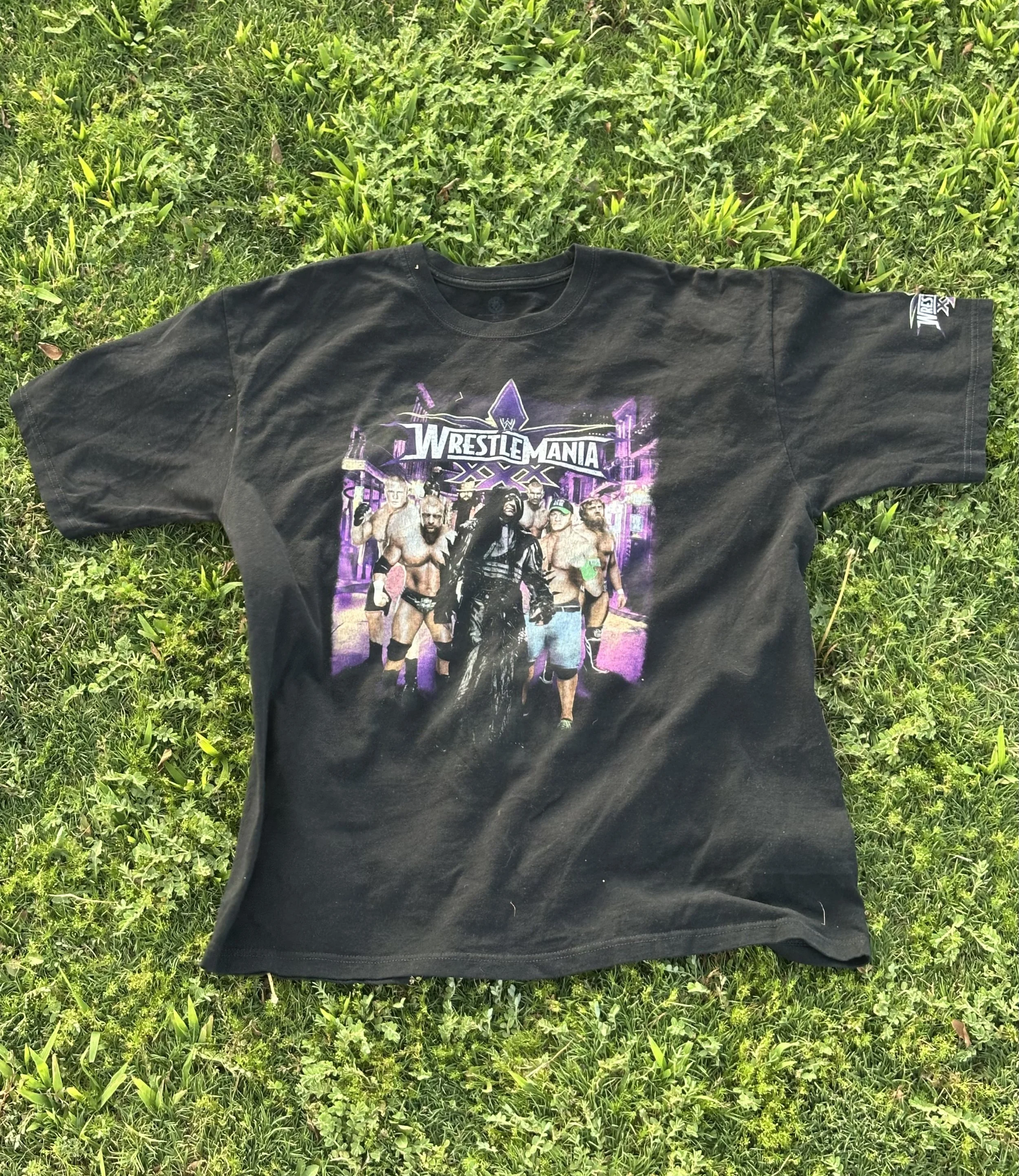 WWE Wrestlemania XXX