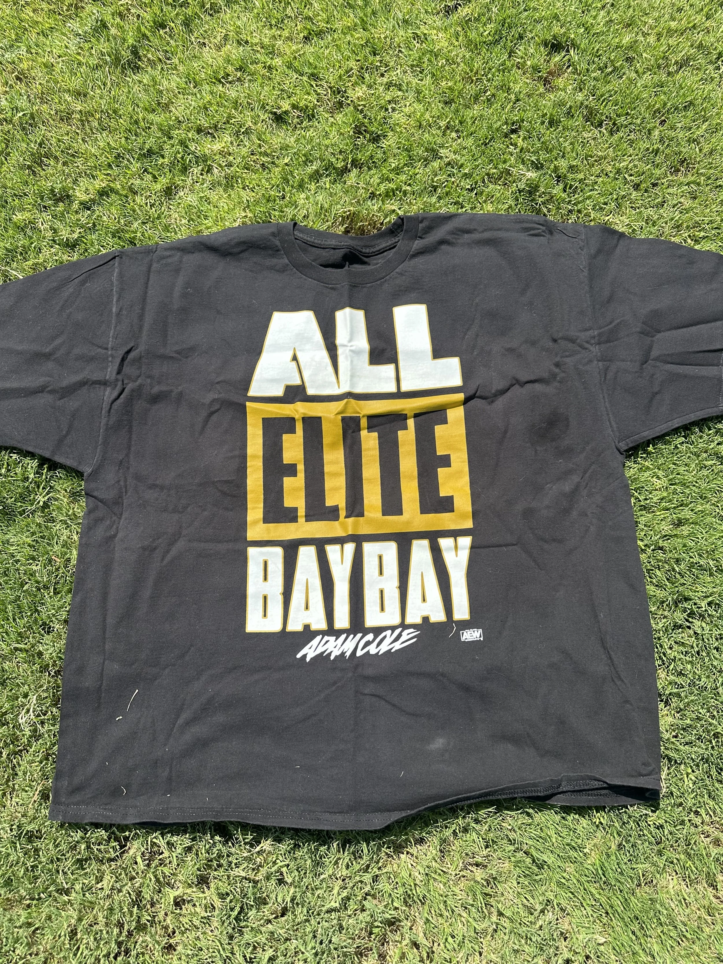 AEW All Elite Wrestling Adam Cole