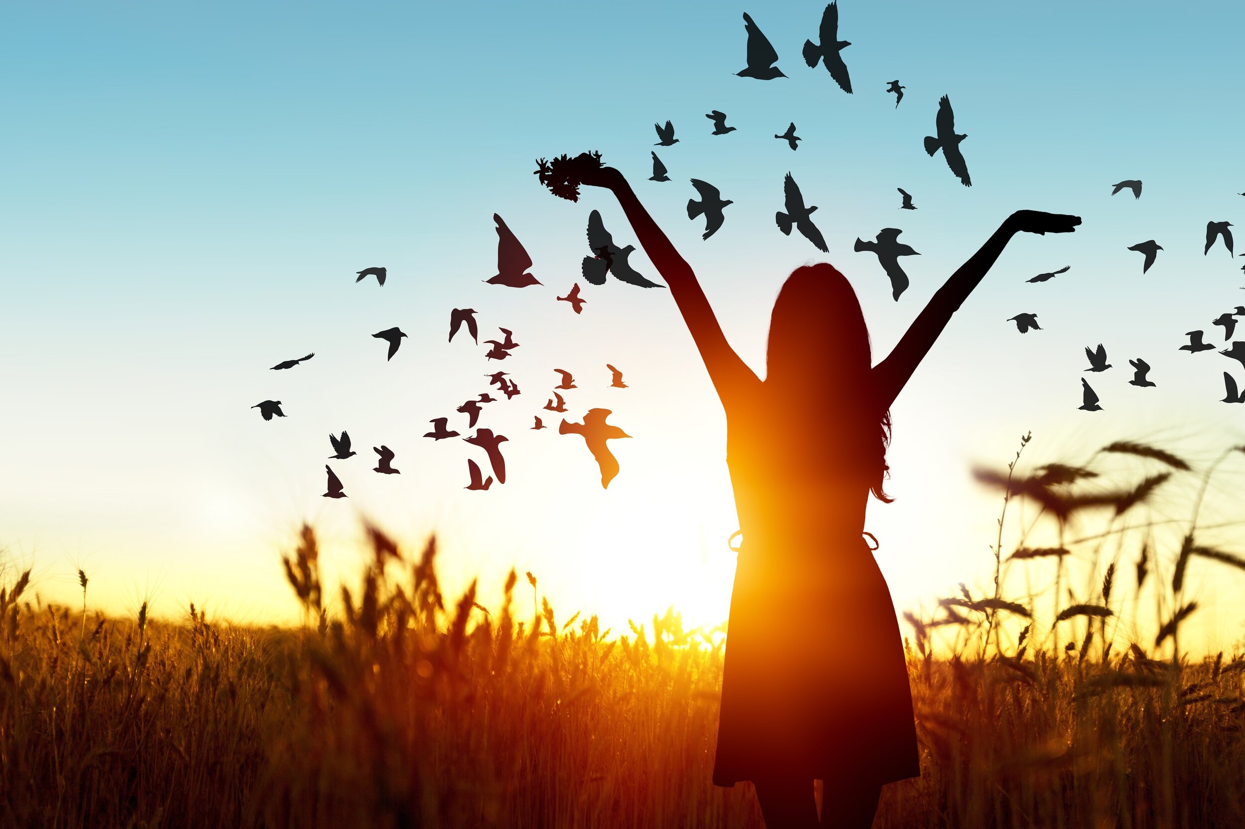 The Power of Forgiveness