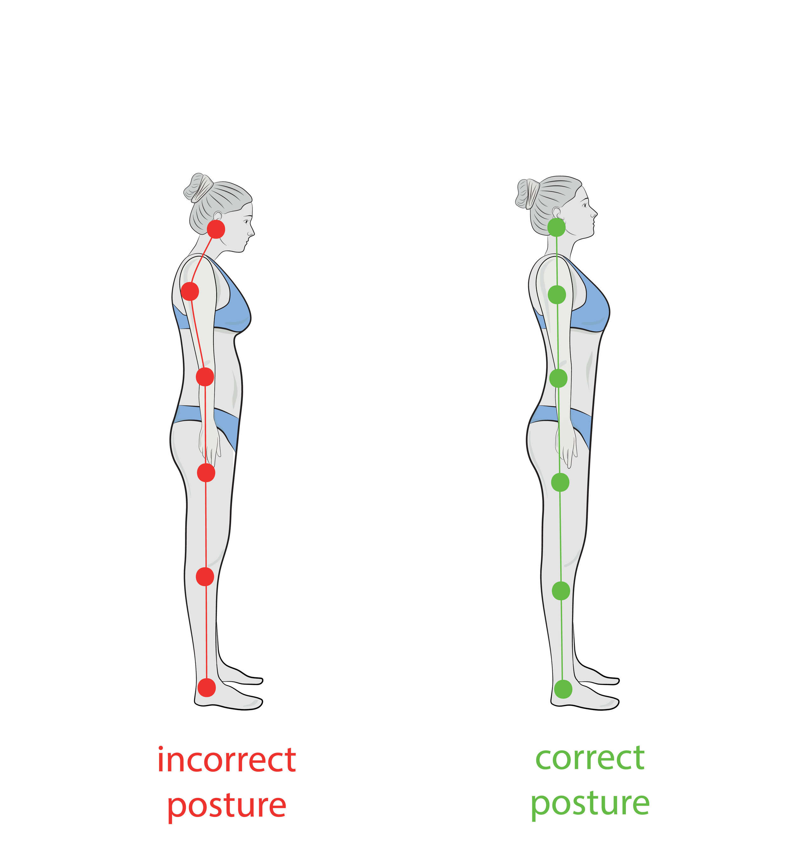 12 Simple Exercises to Improve and Perfect Your Posture — Brains and Bods