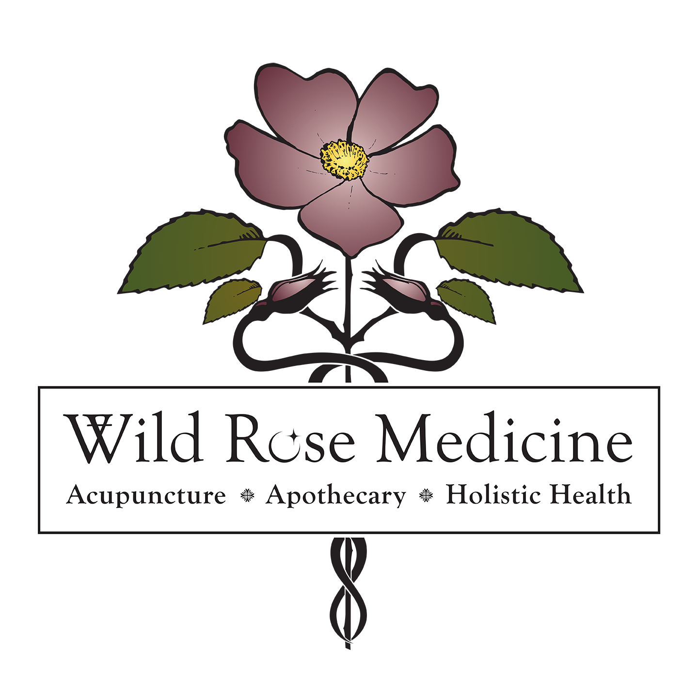 Wild Rose Medicine 