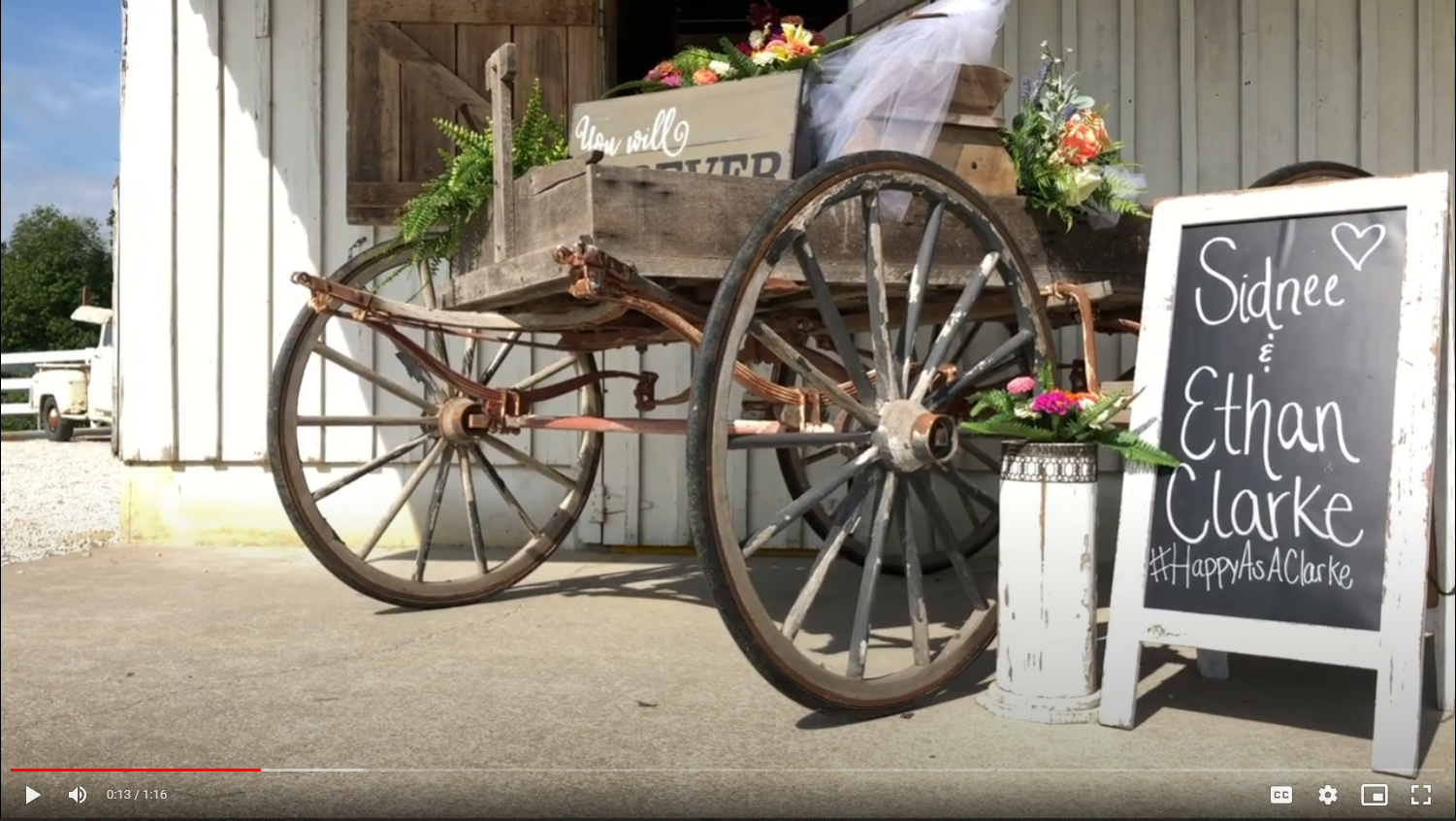 Wedding Screen Grab 2.png