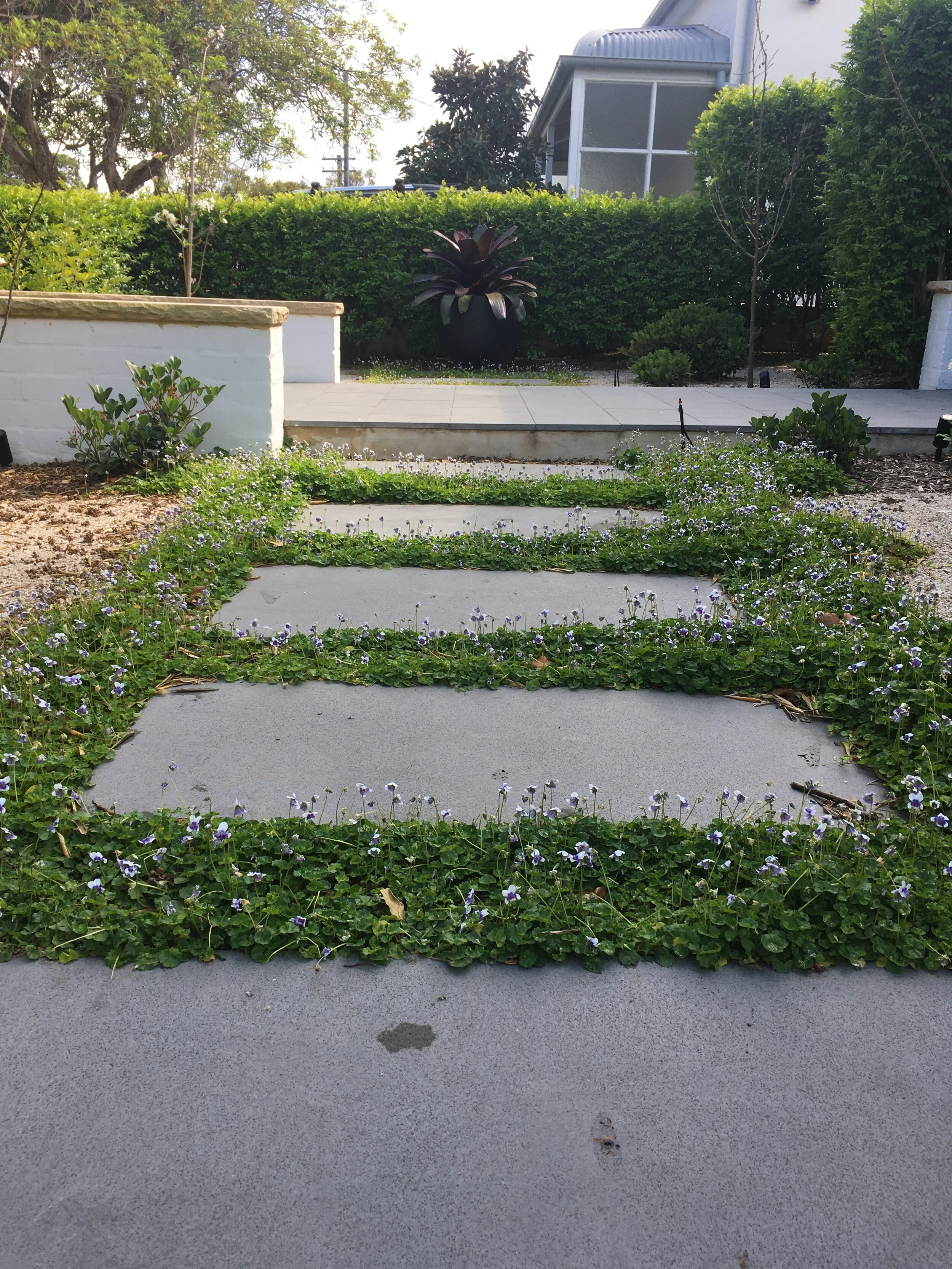 2019_10_28 (1).JPG