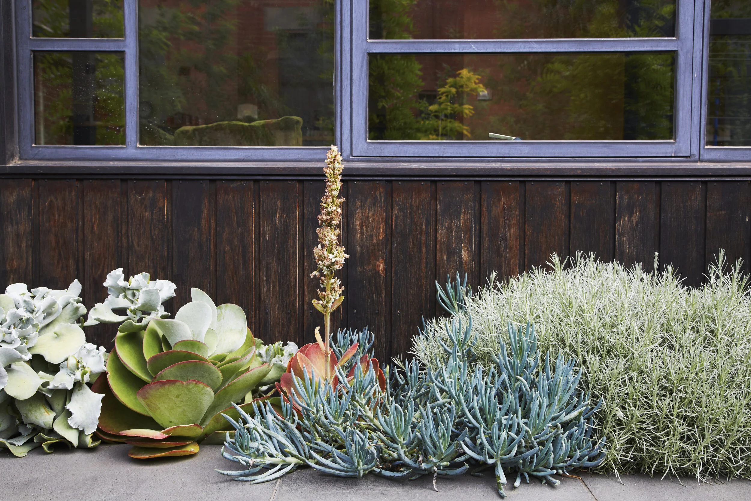 29_Stewart_Garden_048.jpg