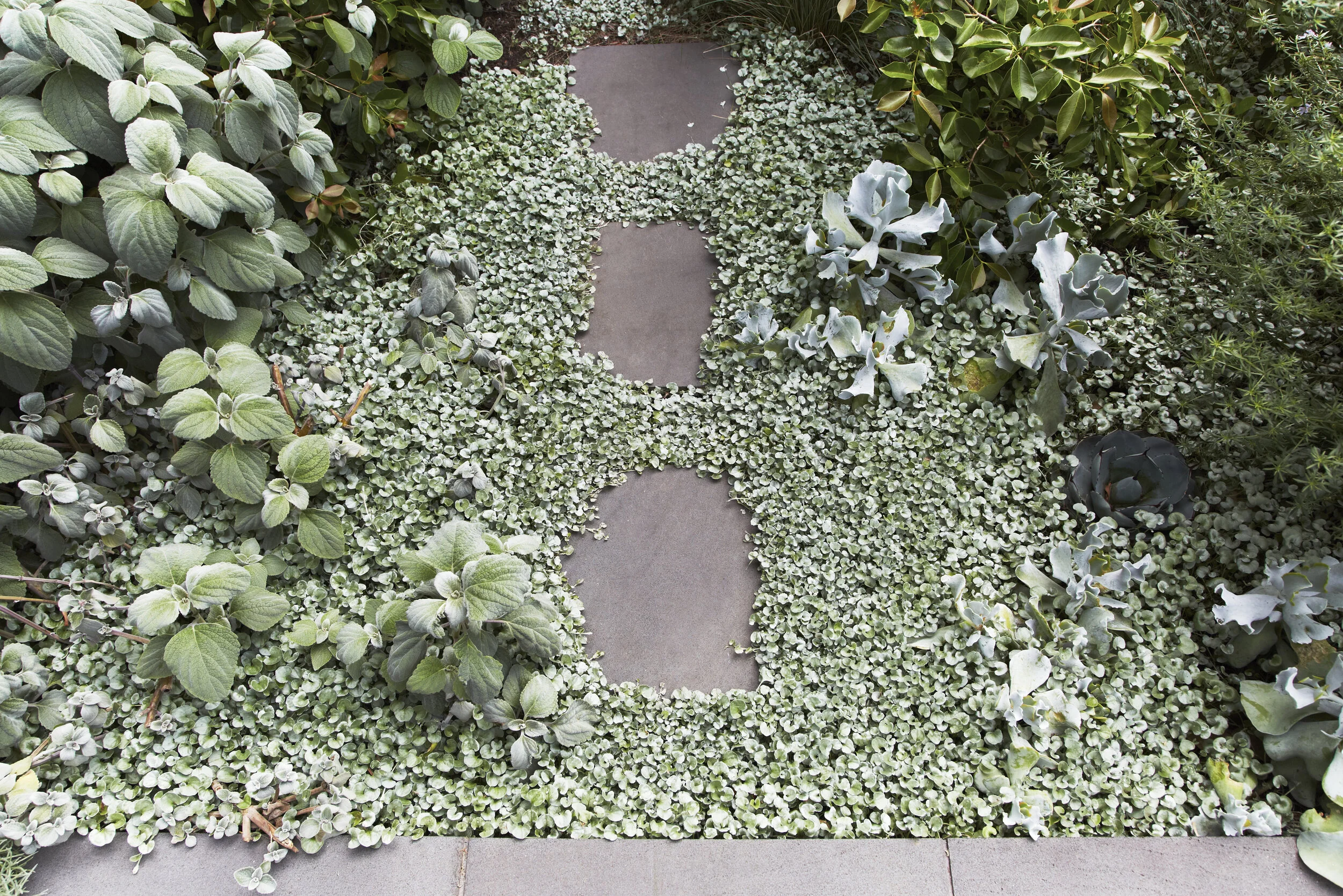 29_Stewart_Garden_053.jpg