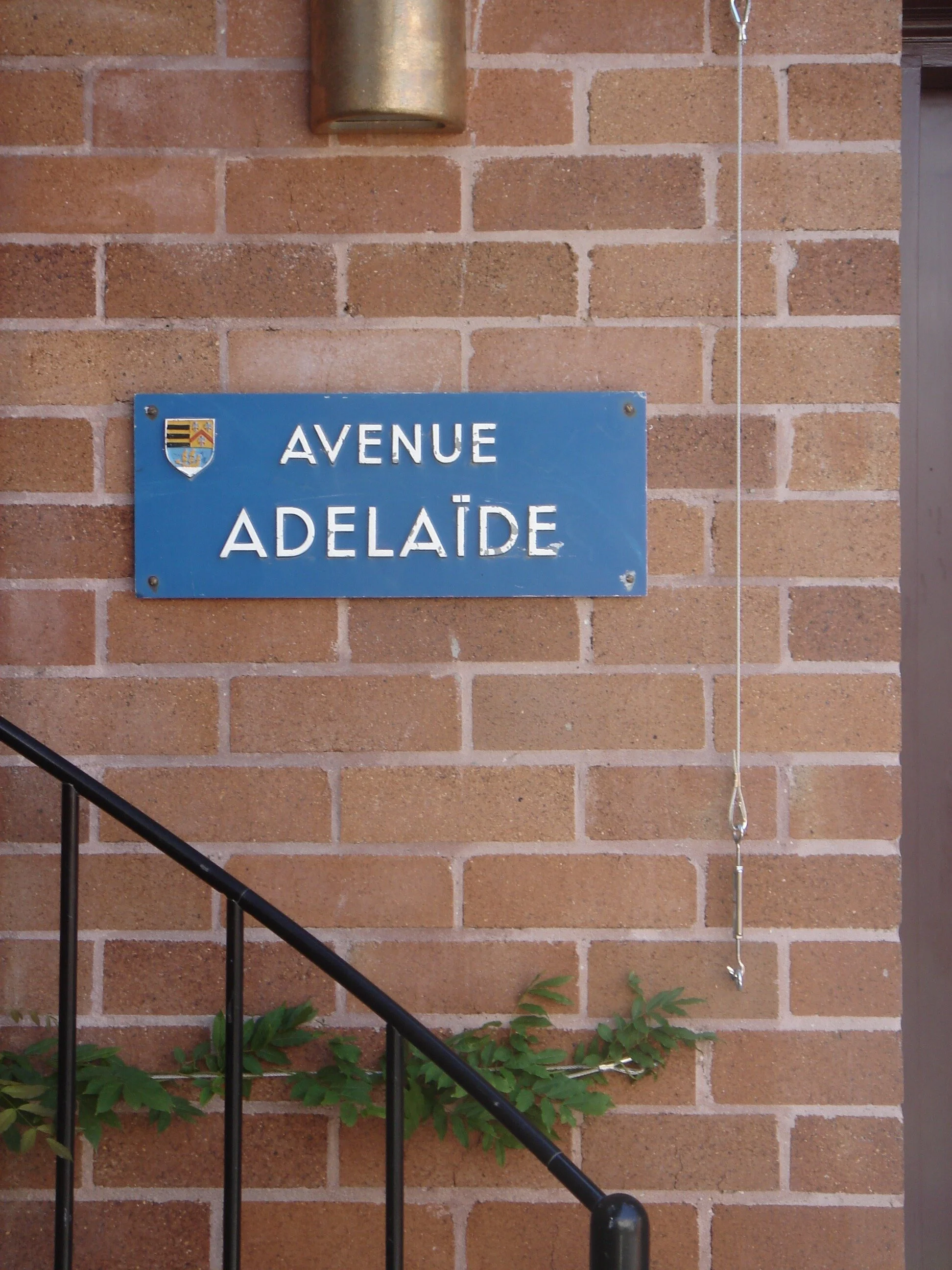 King_Randwick (5).JPG