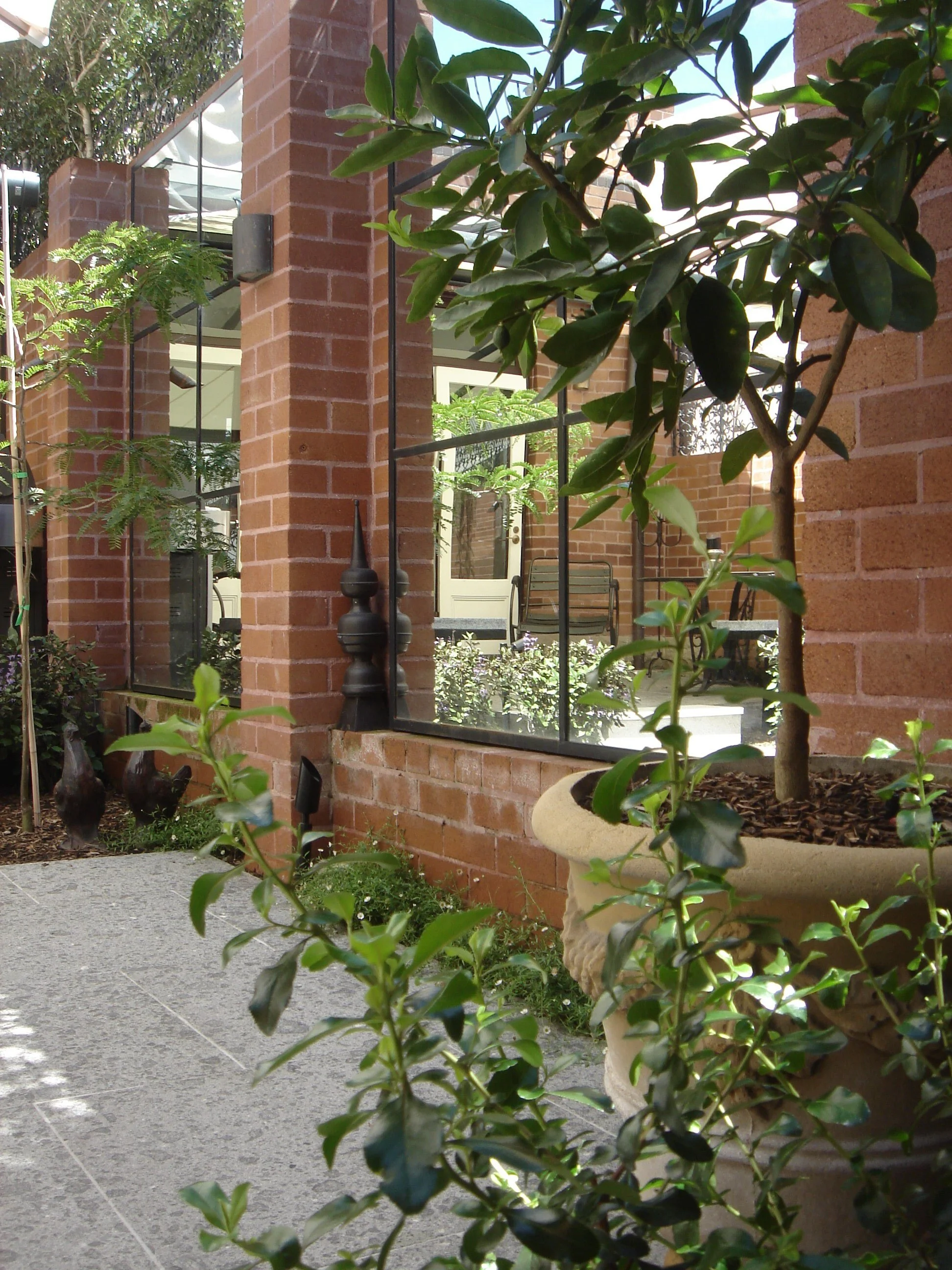 King_Randwick (6).JPG