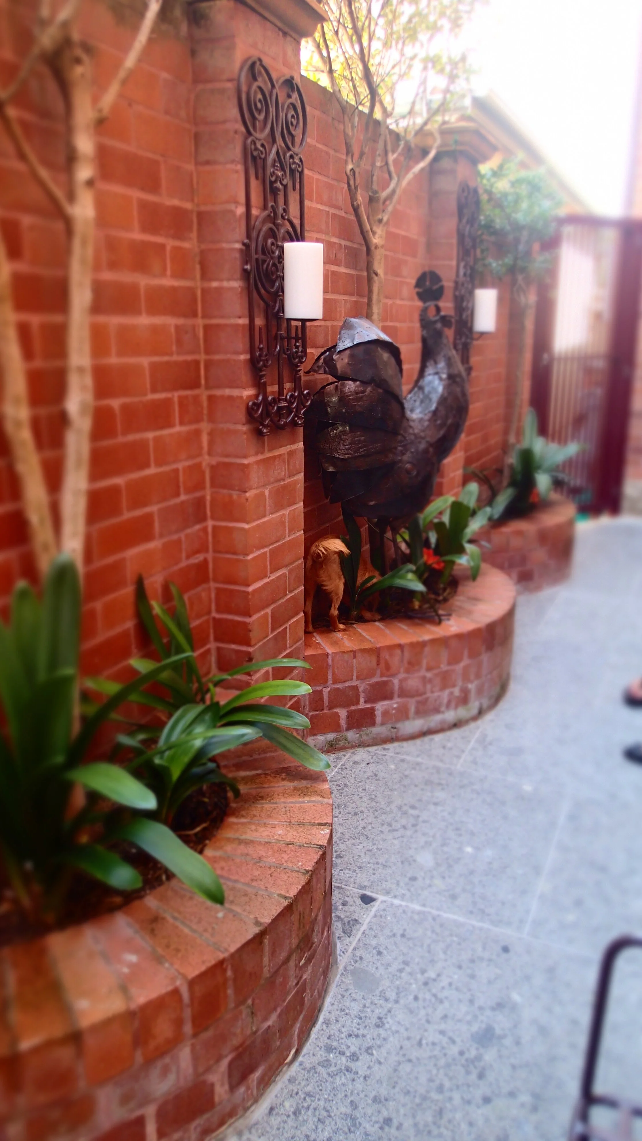 side courtyard 01.JPG