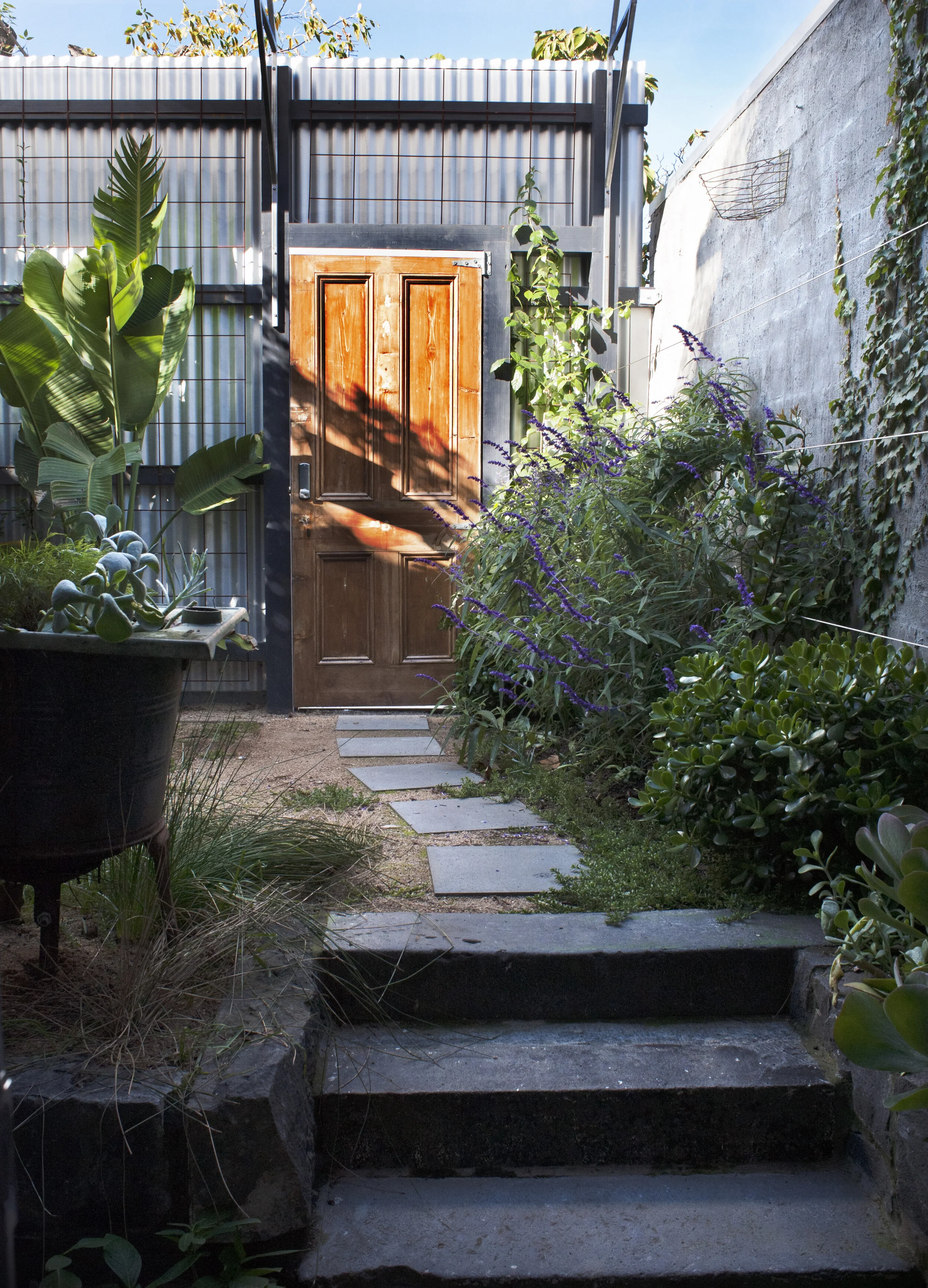 KA Carroll 2011 (3).jpeg