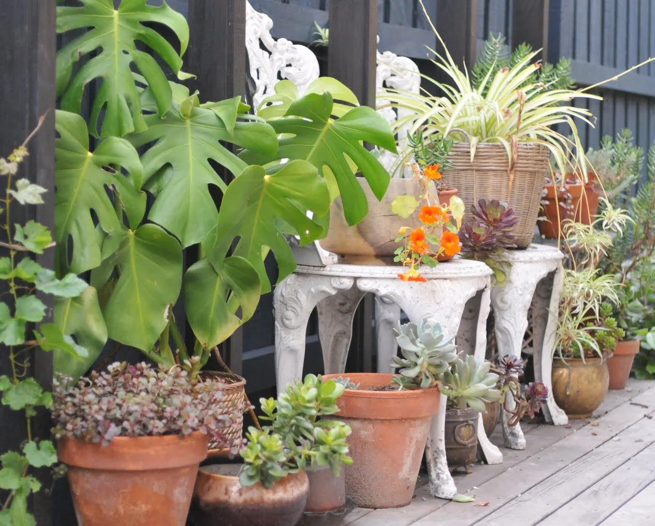 GordonGv entry portico.JPG