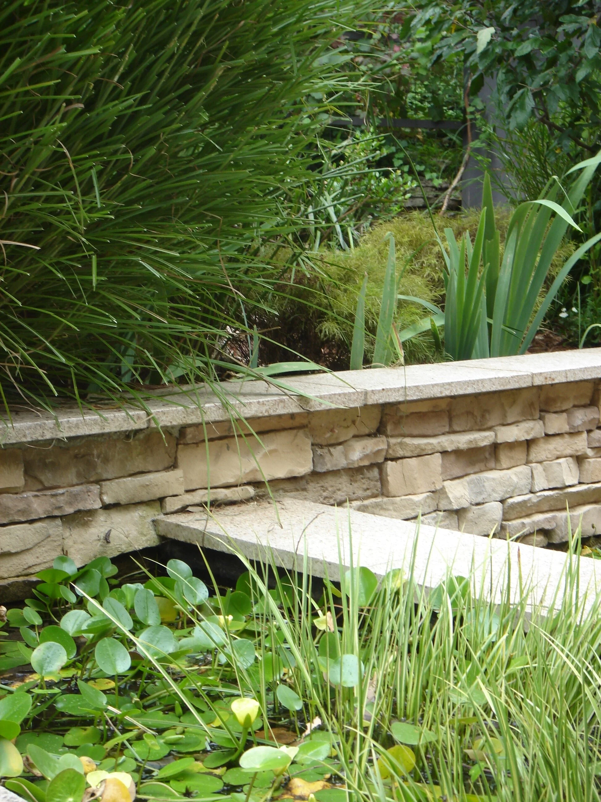 Reeves Court (10).JPG