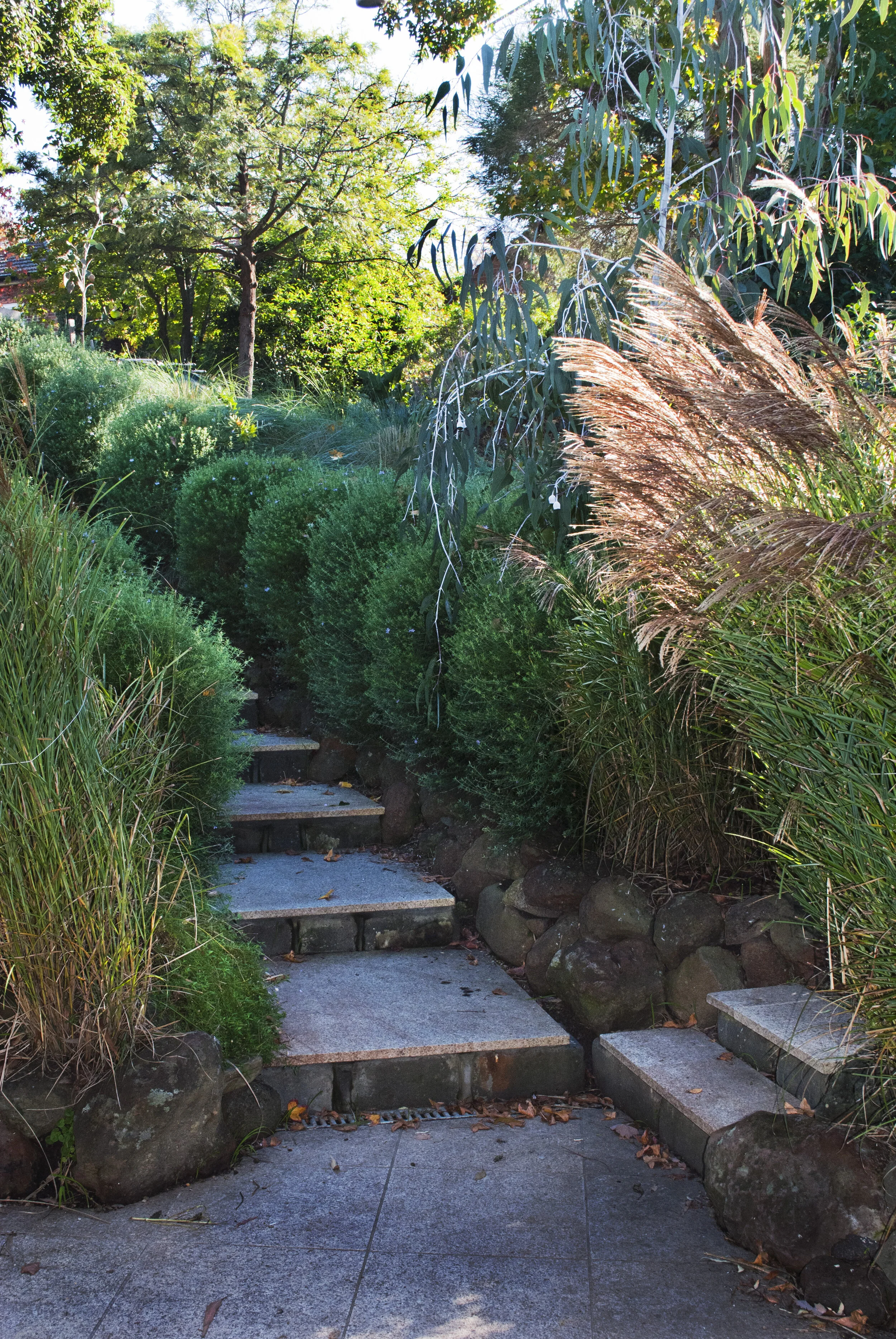 Reeves Court (25).jpeg