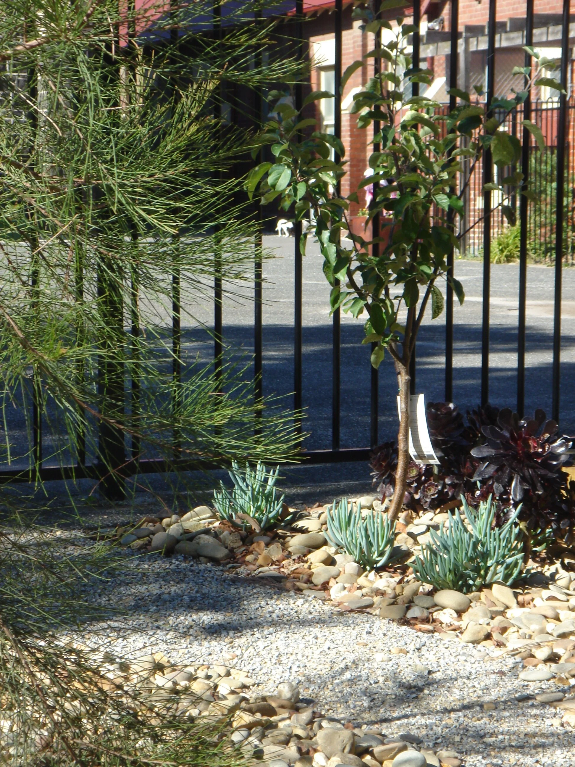 StMarys Kinder (2).JPG