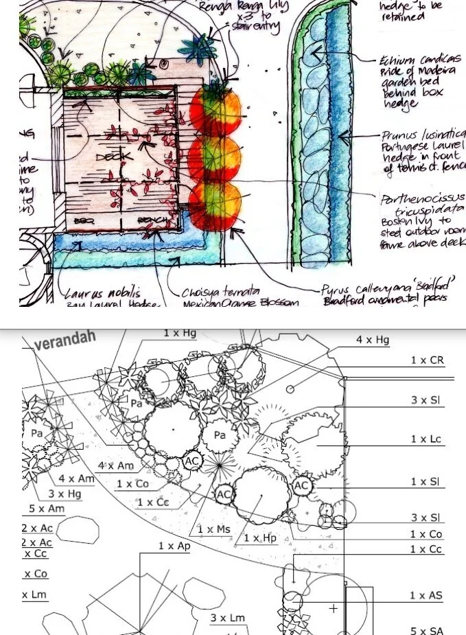 ADLA sample concept & planting plans.jpg