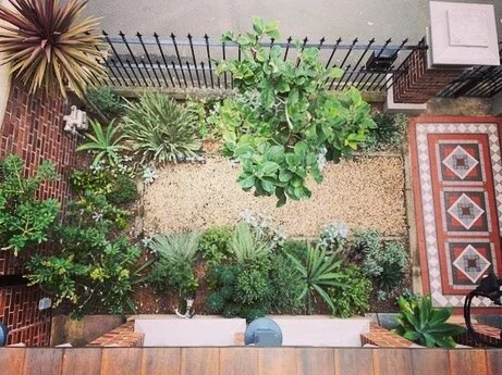 Glebe Project
&bull;
Greens, blues, greys and foliage textures filling the space now.
Swipe right for before photo.
&bull;

landscape architect: @annabelle_drew_landscapedesign 
Plants from @exotic_nurseries 
Prep &amp; Planting &amp; 📸 : client
#fr