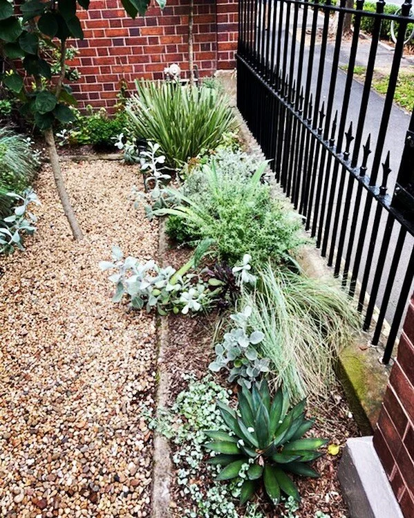 Glebe Project
&bull;
My lovely client did all the clean out, soil preparation, planting, irrigation system and mulching himself. I was so impressed. 
You can too! I can give you the direction and set you up for DIY. So rewarding!
&bull;

landscape ar