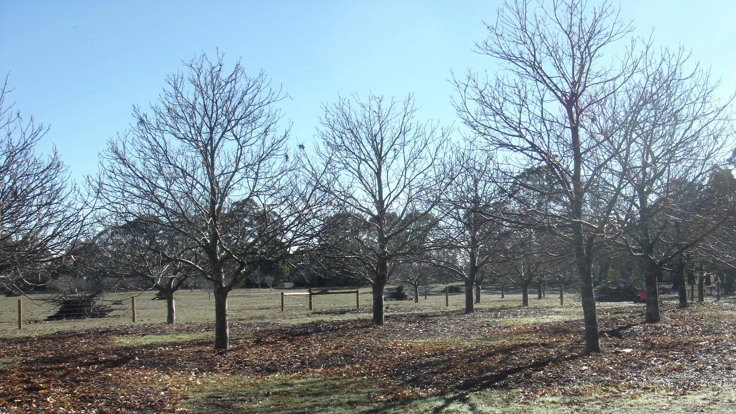 Spring Hill Farm