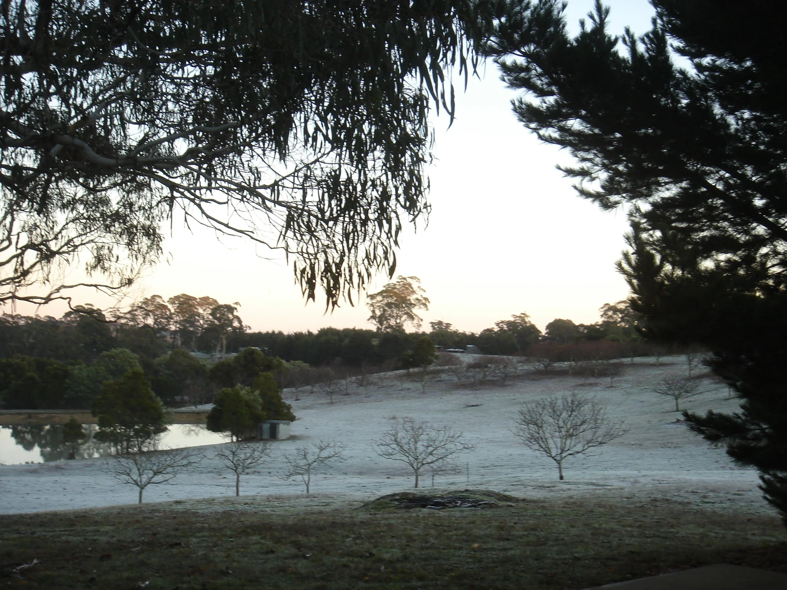 Springhill farm winter (5).JPG