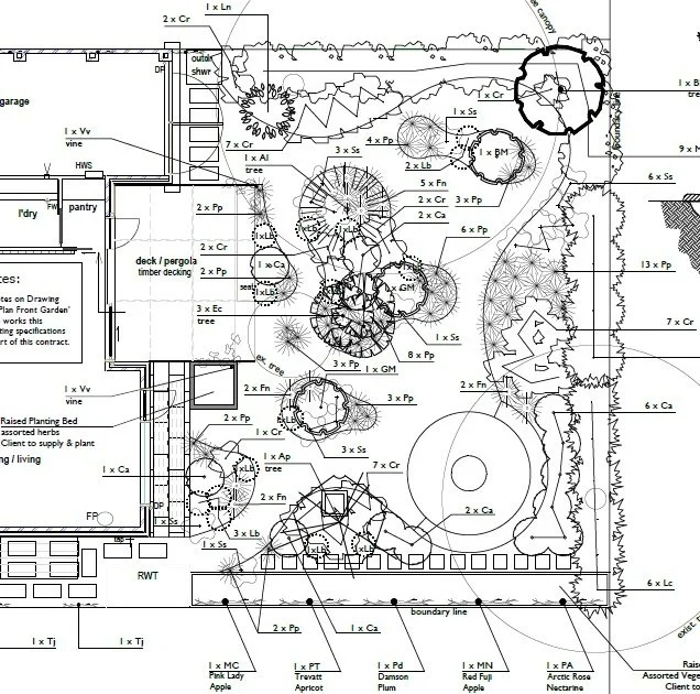 back planting plan.jpg