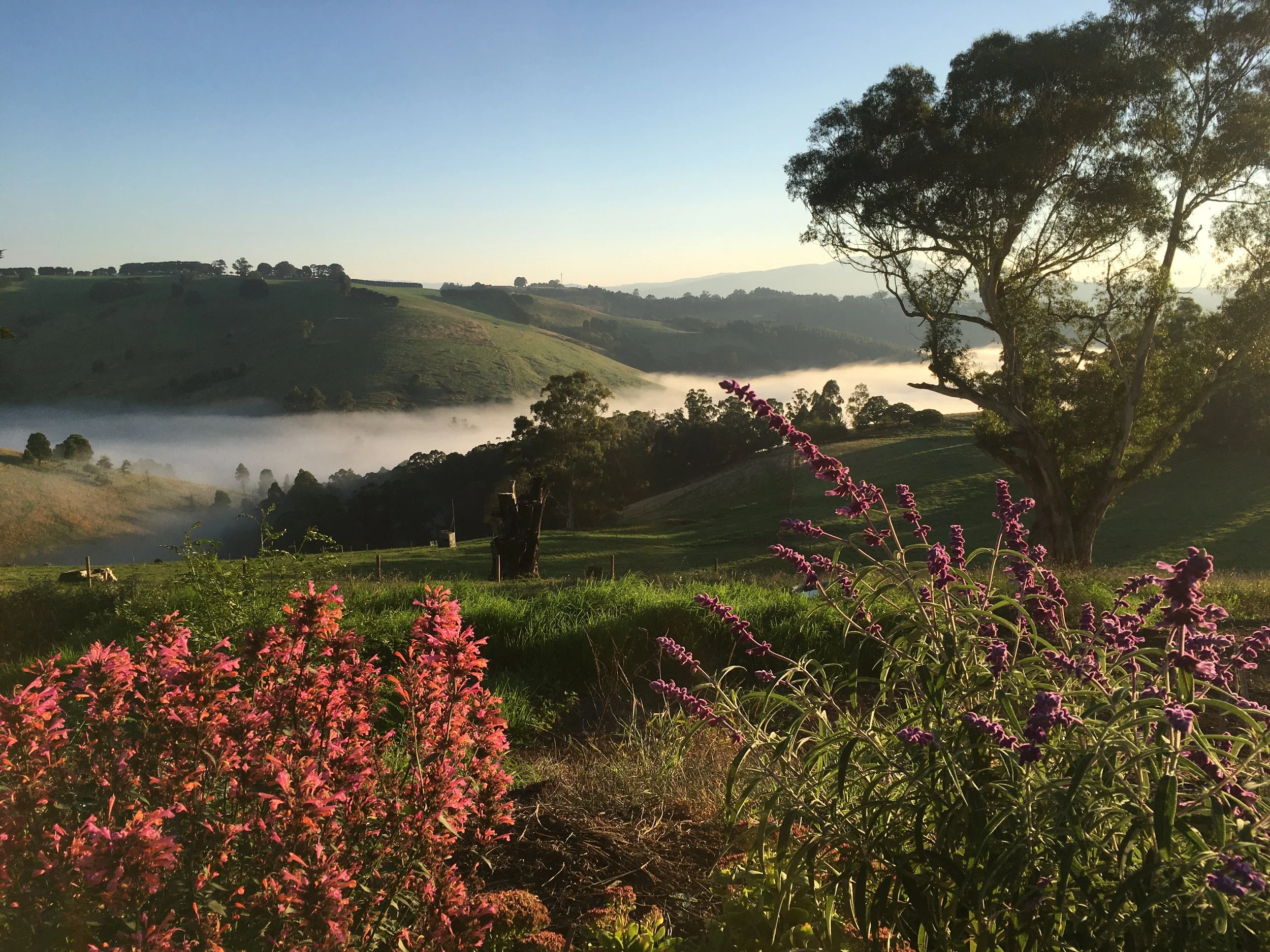 Neerim East Farm