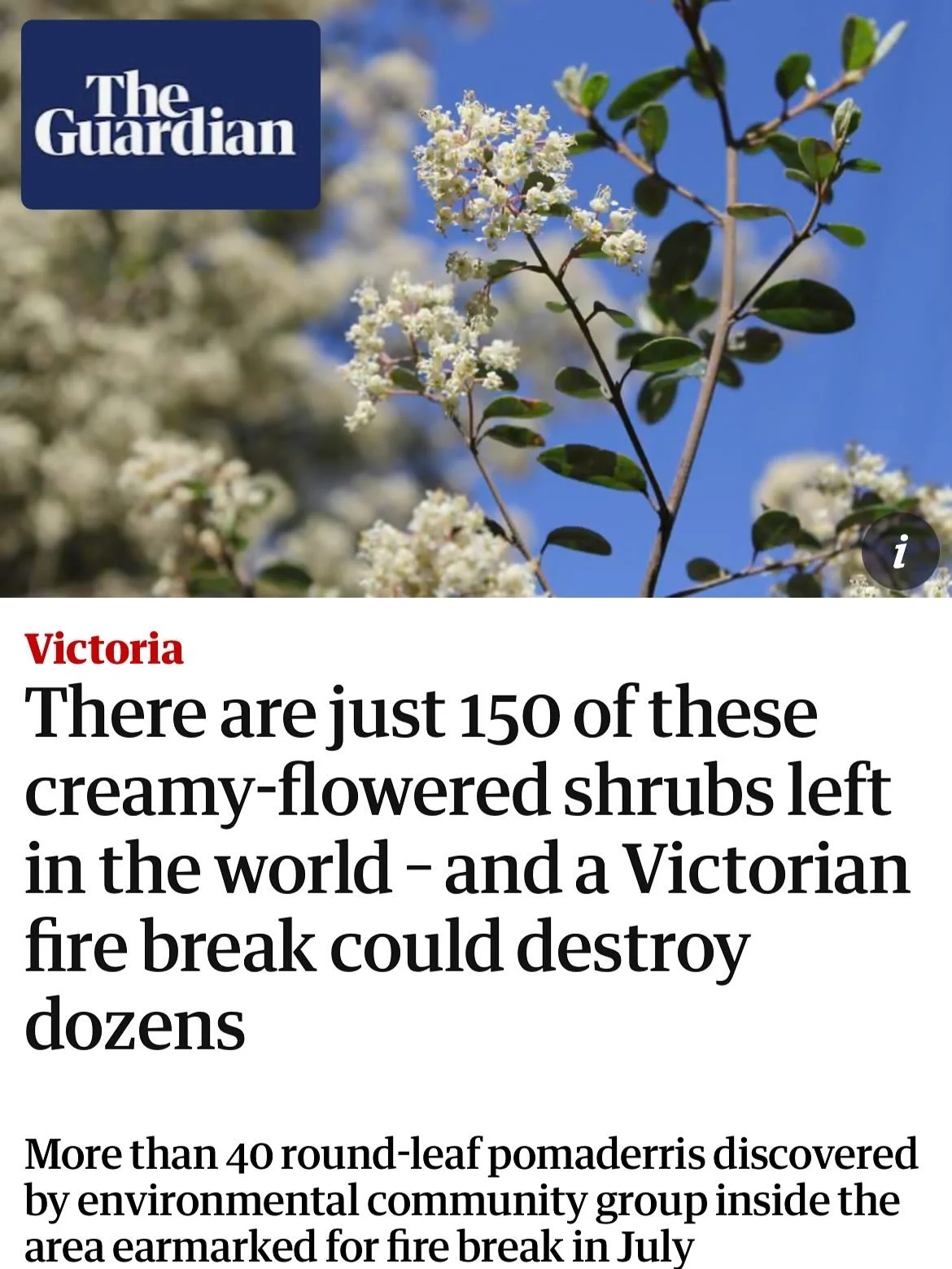 Thanks to Graham Readfearn from @guardianaustralia for publishing this article. It&rsquo;s pretty challenging for volunteer community groups like ours to get the word out on what we see in the forest, so we really appreciate journalists willing to en