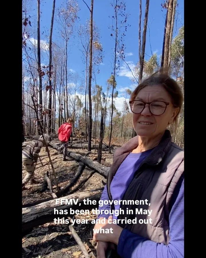 Planned burning is not keeping us safe from bushfires and it is wrecking the forests we live in and love. 

Read more and sign the open letter on our website calling for updated and effective bushfire mitigation. The link is in our bio.