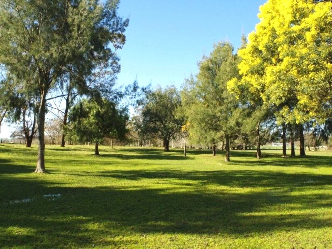 picturesque park-like setting