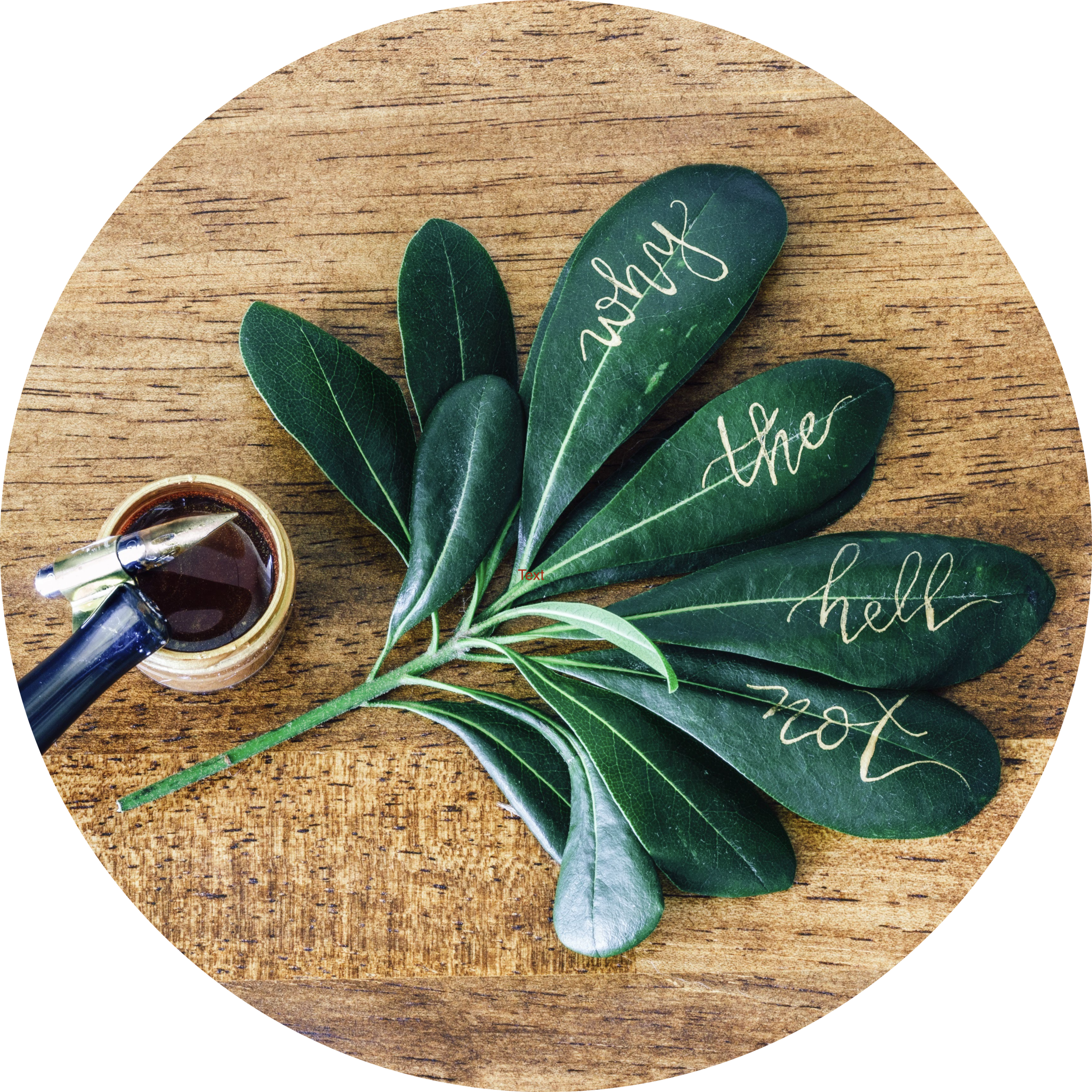 Business Mentoring Coaching For Calligraphers Calligraphy Ceo Business Mentoring And Coaching