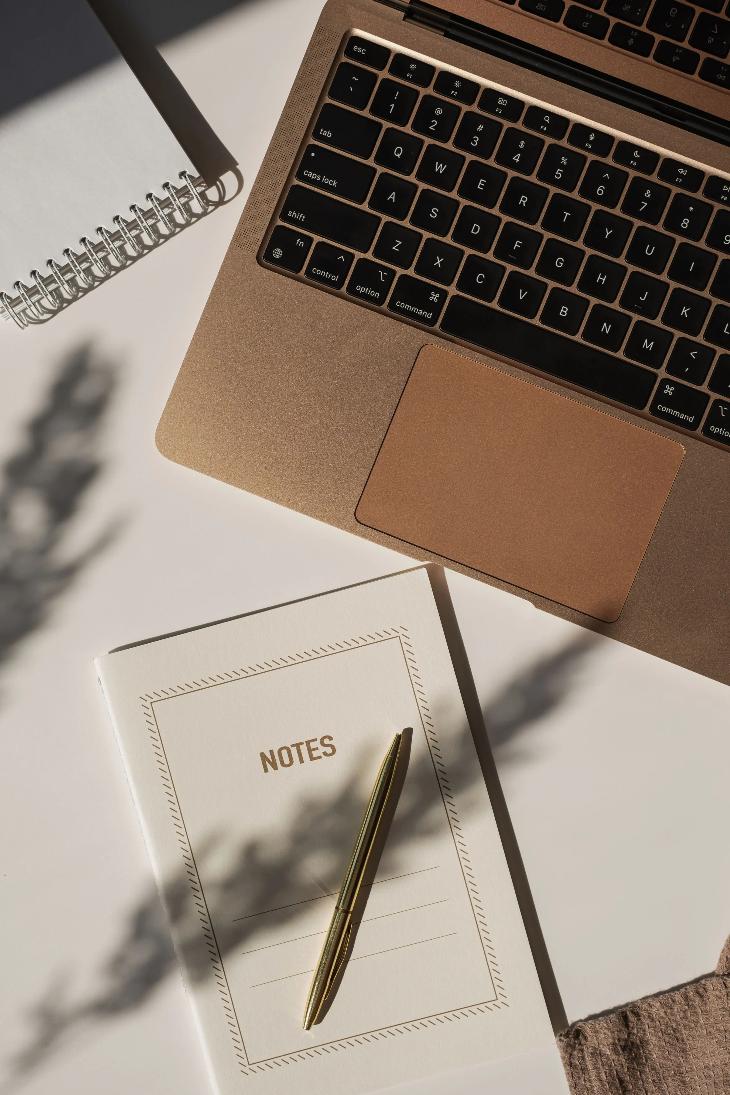 Taking notes for new squarespace website project