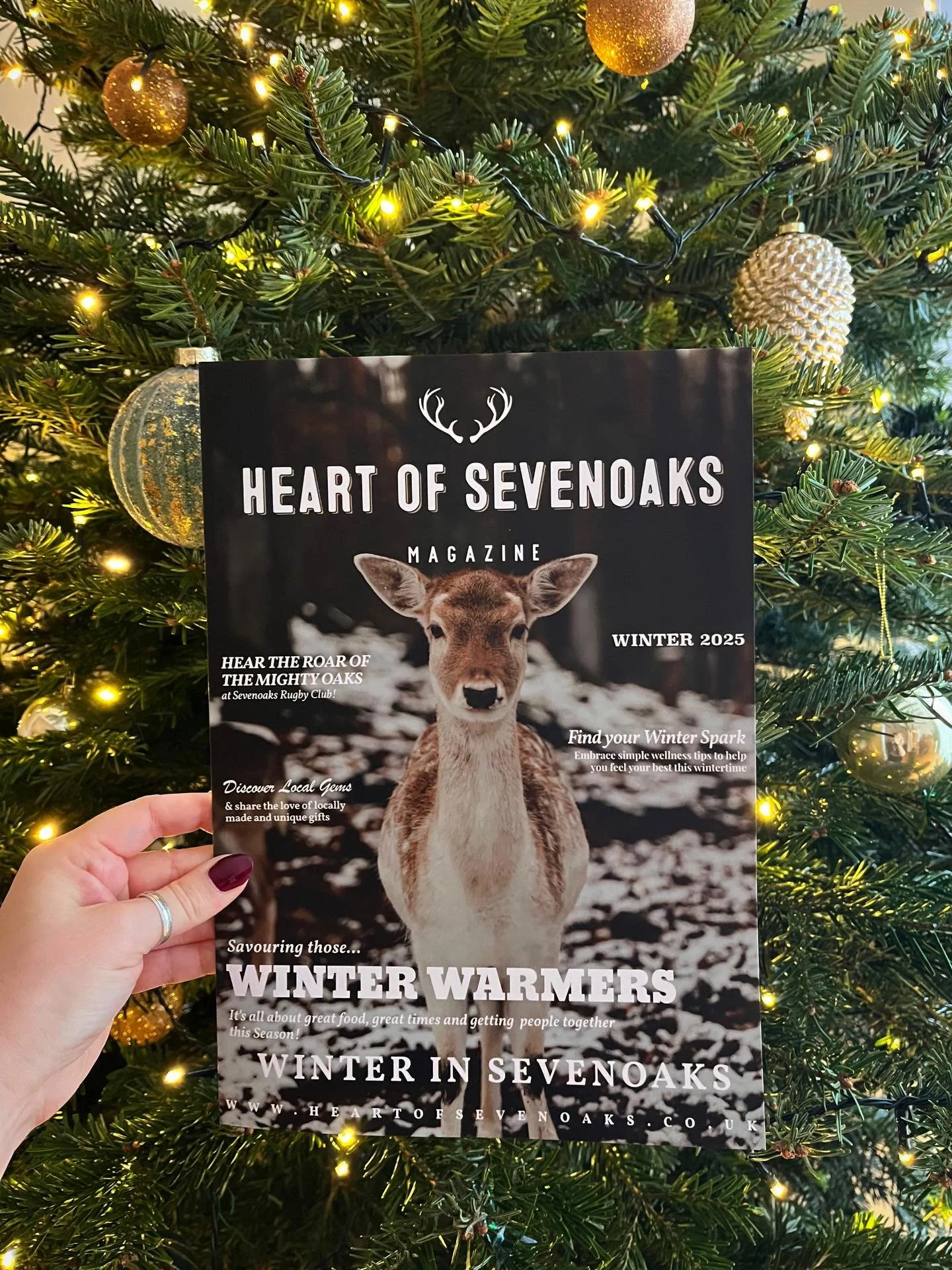 The winter edition of Heart of Sevenoaks Magazine has arrived!✨❄️

Dive into a seasonal mix of Sevenoaks news, festive features, local recommendations, gift ideas and lots more - this edition is a perfect read for these cosy winter days!

We’re so gr