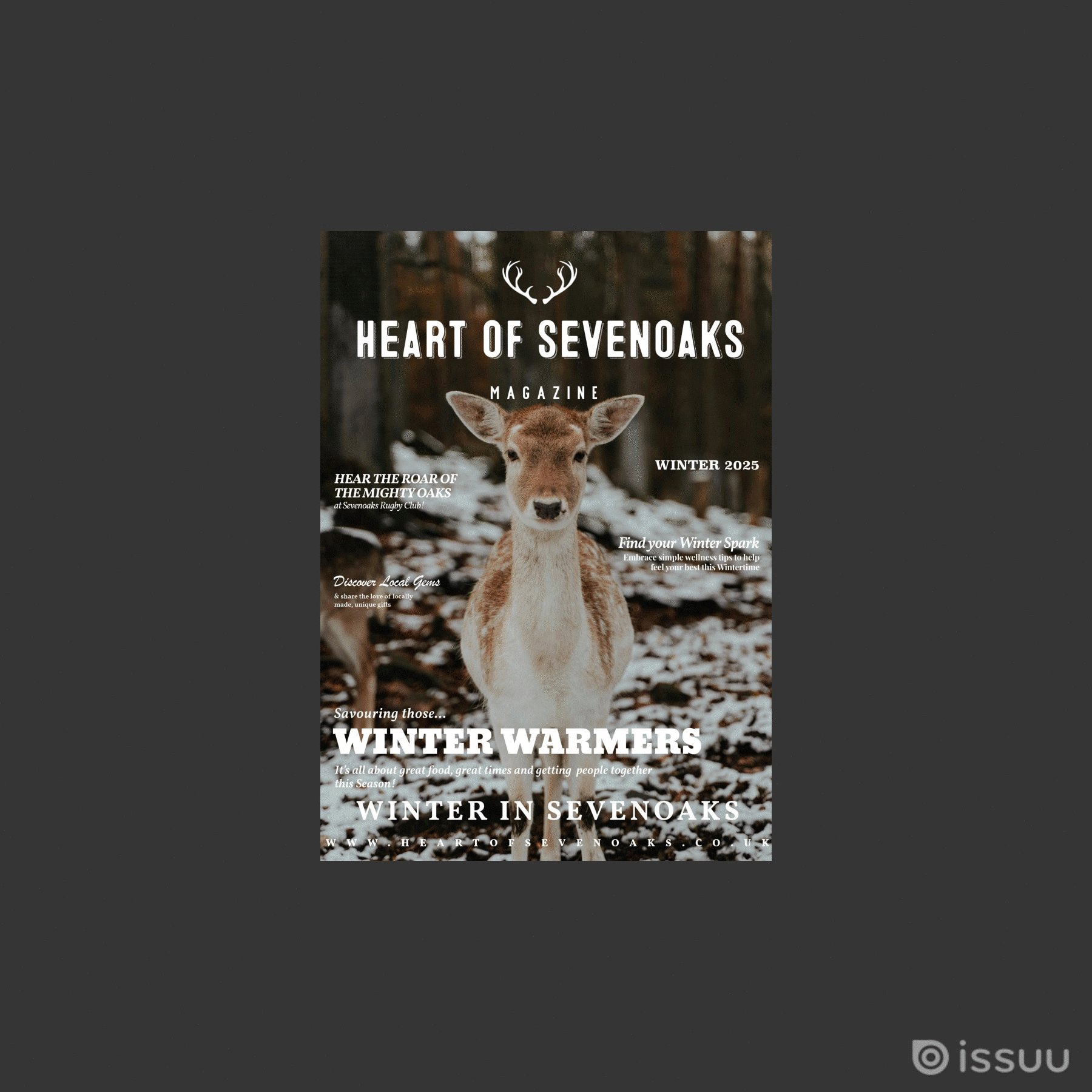 Our Winter edition of the Heart of Sevenoaks Magazine has arrived!✨❄️

Dive into a seasonal mix of Sevenoaks news, festive features, local recommendations, gift ideas and lots more - this edition is a perfect read for these cosy winter days! 

We’re 