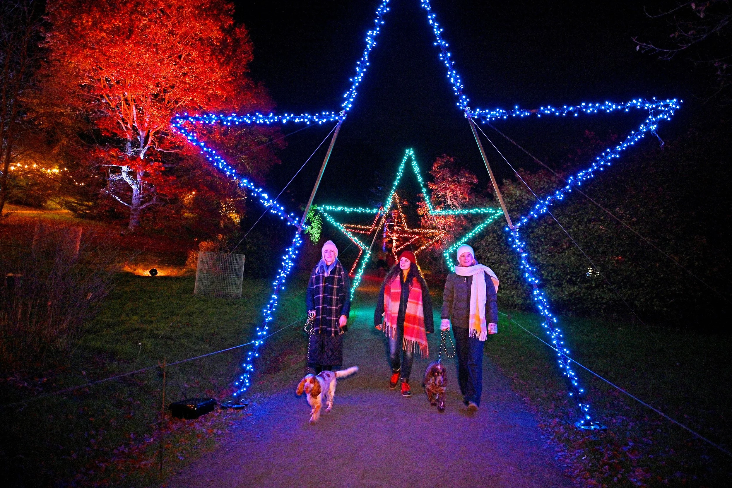 Step into a magical winter wonderland as Christmas at Bedgebury returns for 2026, transforming Bedgebury National Pinetum and Forest into a spectacular festive experience.

Wander beneath towering conifers illuminated by dazzling colours, twinkling l