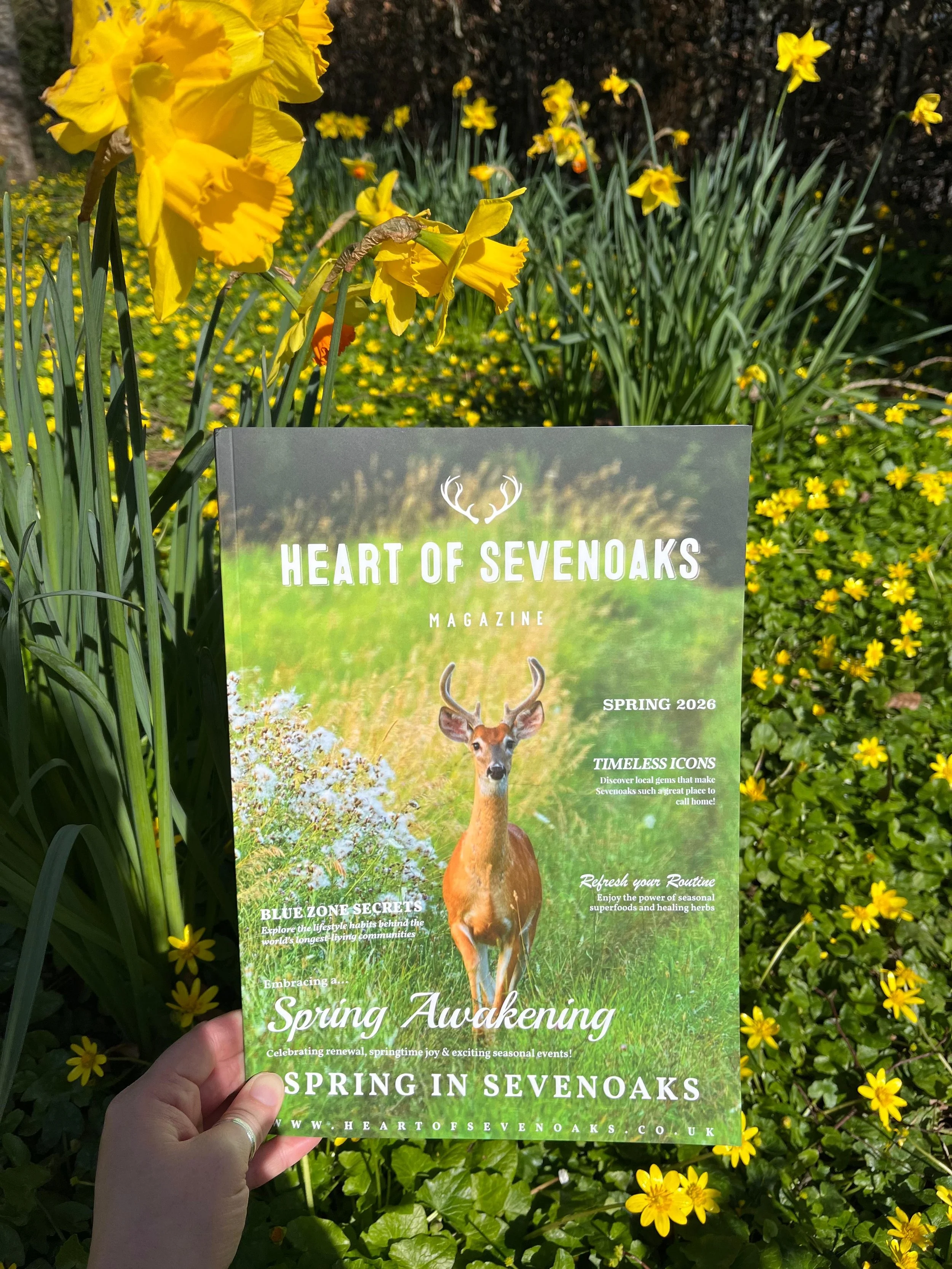 You can pick up your copy from locations in and around Sevenoaks or read it online here 👉 www.heartofsevenoaks.co.uk/magazine
