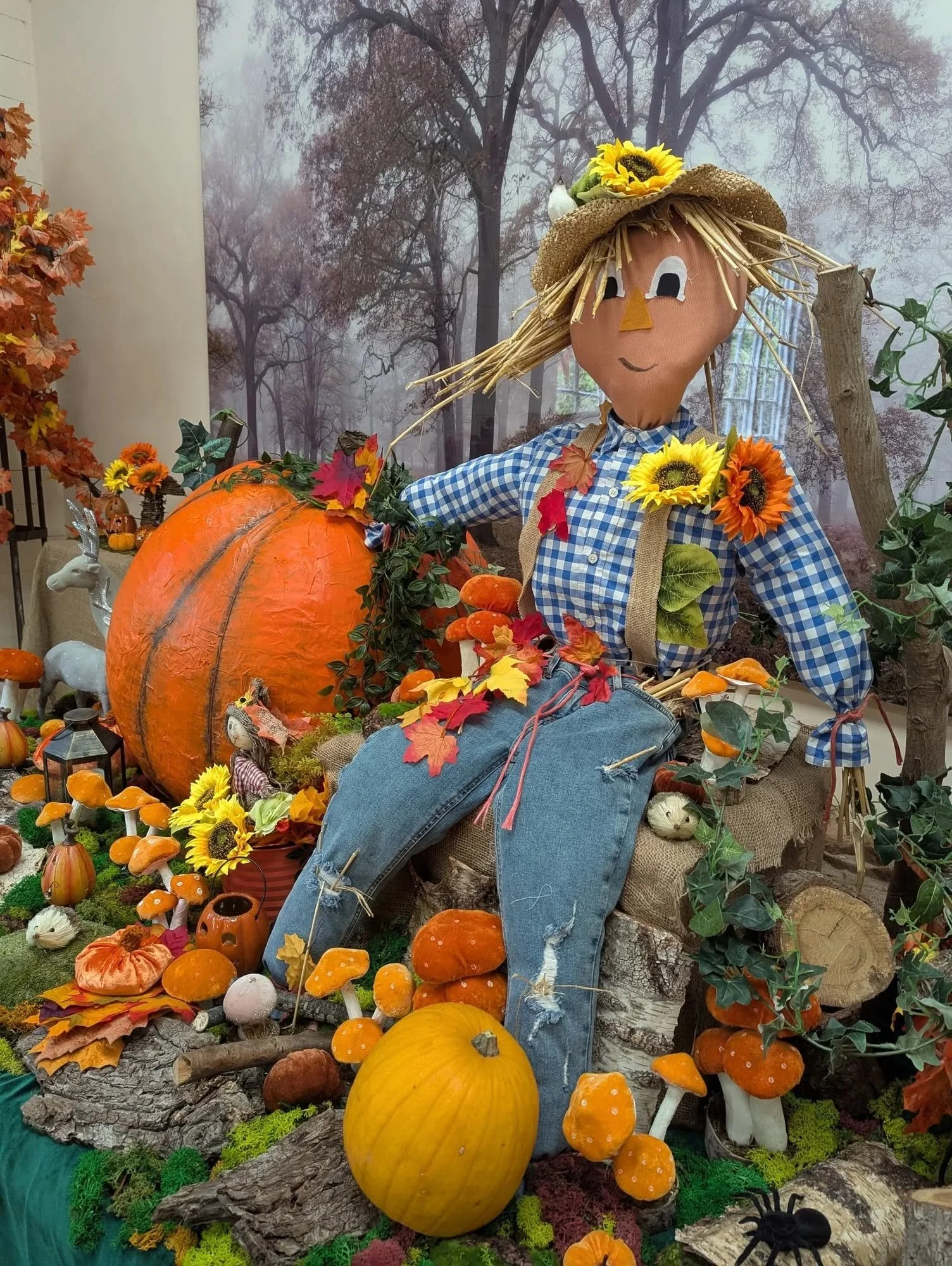 Celebrate the beauty of autumn at Riverhill Gardens this year! Their Pumpkin Festival is back from 17th October to 1st November, filled with pumpkin activities, family fun and lots of seasonal charm!🎃

With pumpkin carving, an autumn trail, stunning