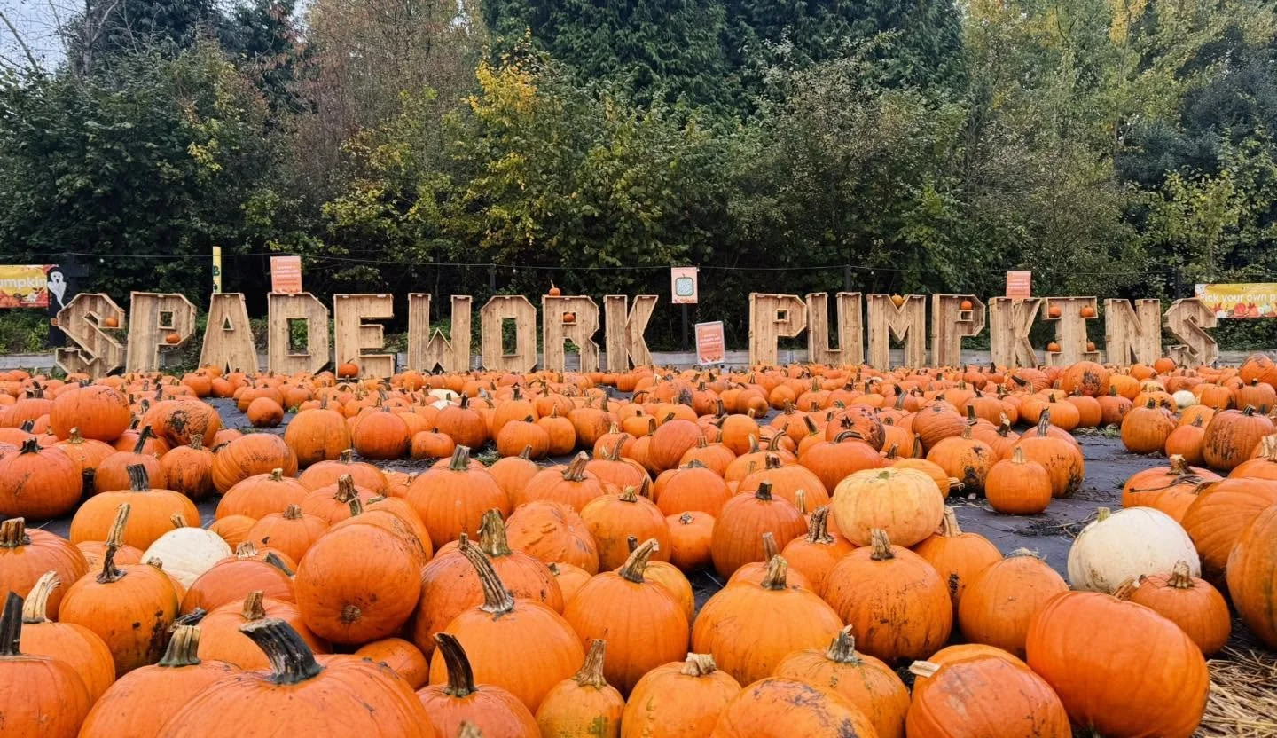 PYO Pumpkins at Spadework is back for 2026, running from Monday 5th October – Saturday 31st October 2026!🎃

Set in the picturesque village of Offham, Spadework is a remarkable charity dedicated to helping people lead more connected, independent and 
