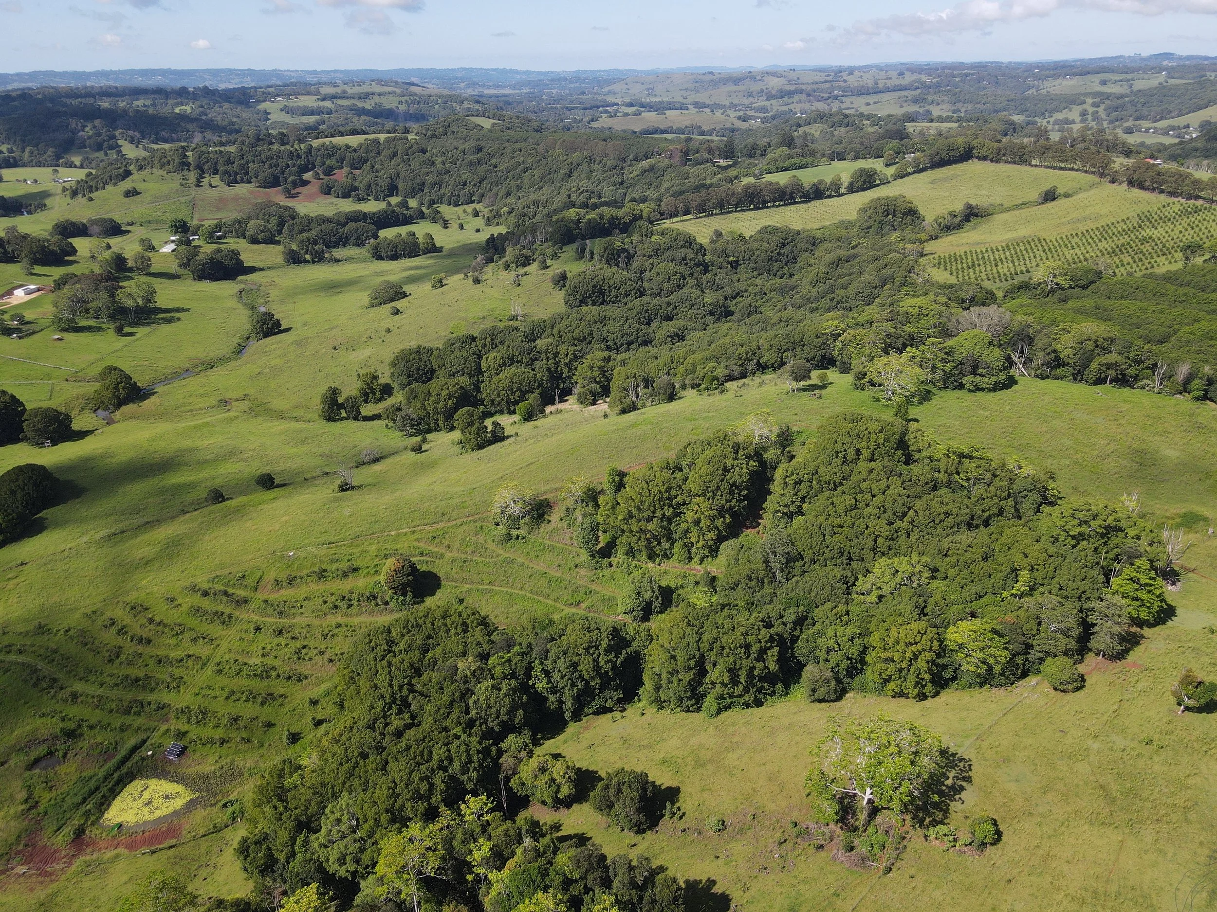 Aerial view of Cheyenne Farm — 100 acres in Rosebank, Byron Bay hinterland