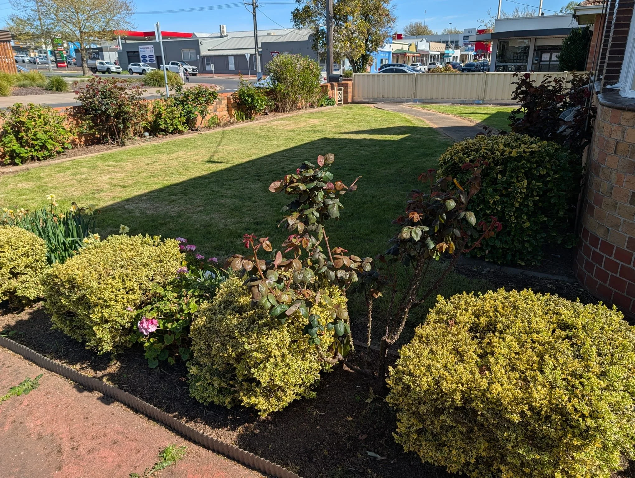 Front Garden.jpg