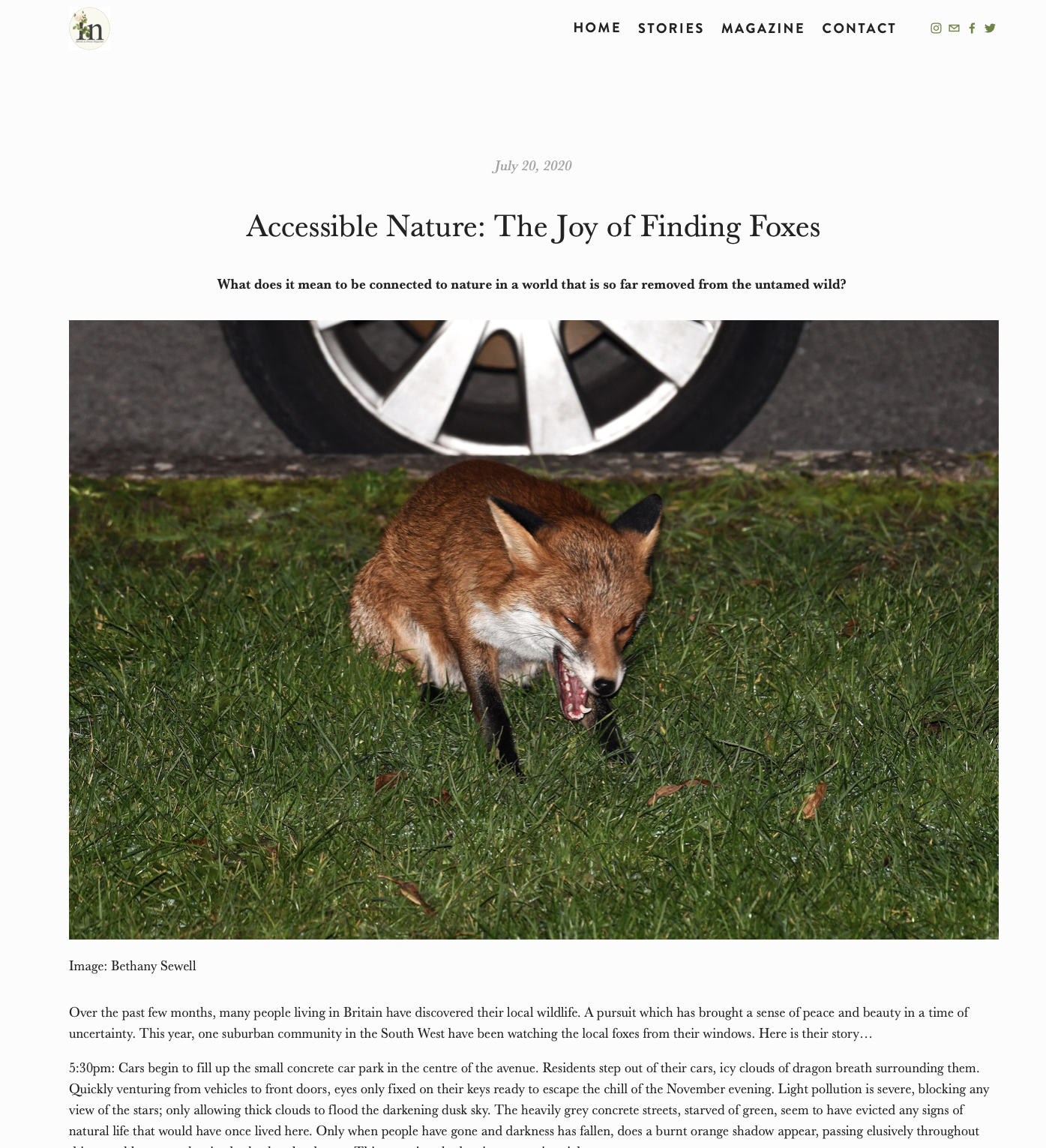 Screenshot 2021-03-05 at 15.37.16.png