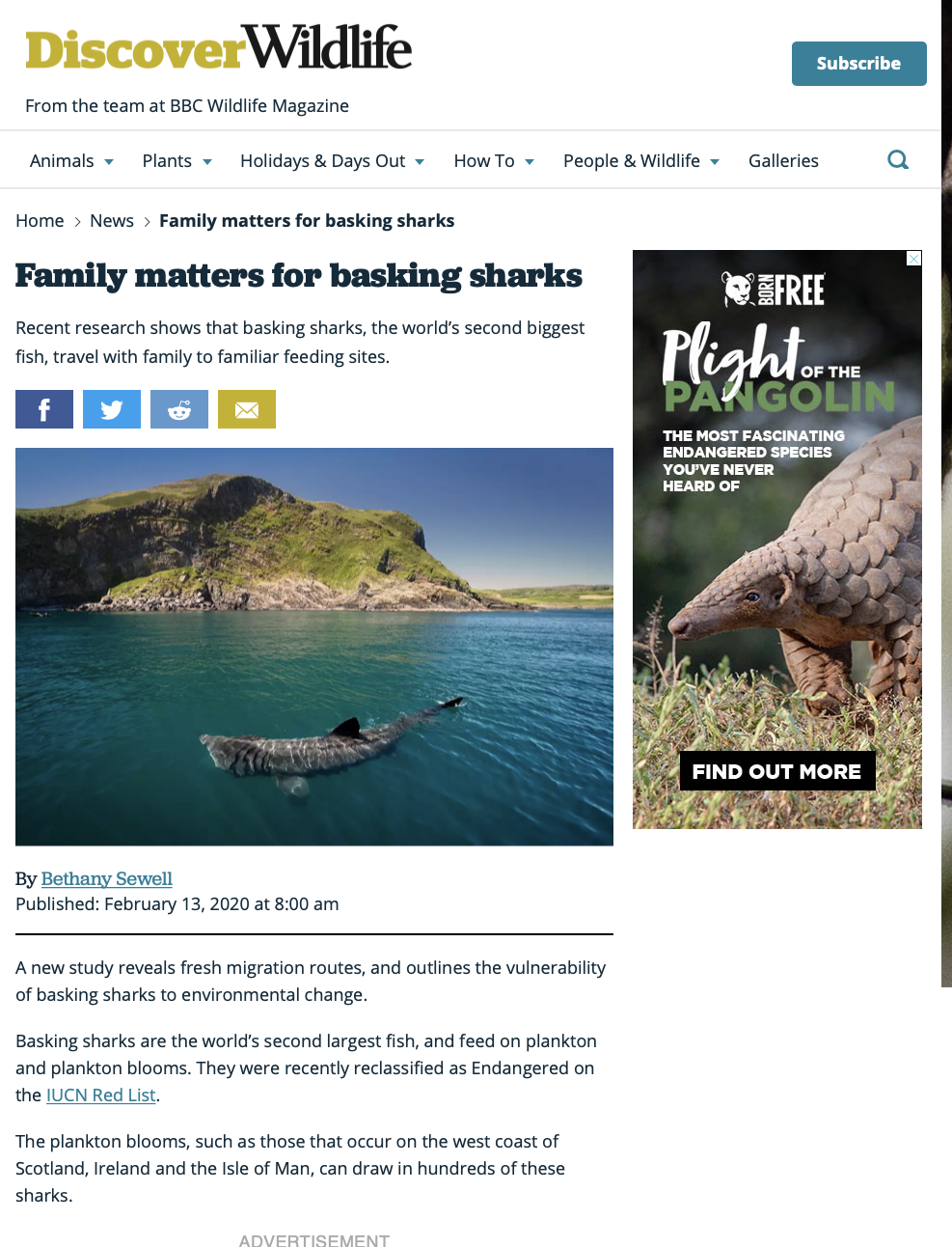 Screenshot 2021-03-05 at 15.17.55.png