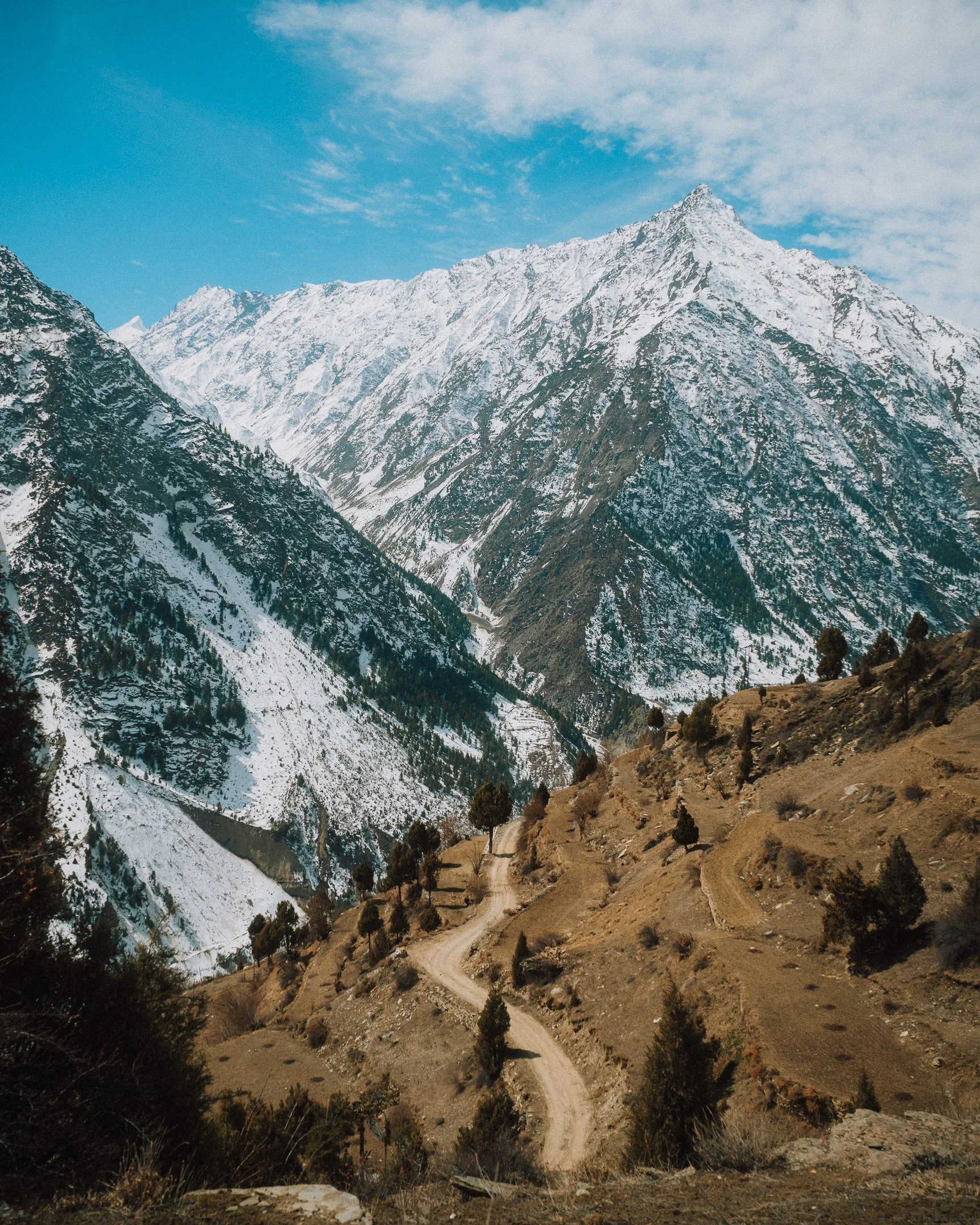 Himachal & Ladakh-260306-04229.jpg