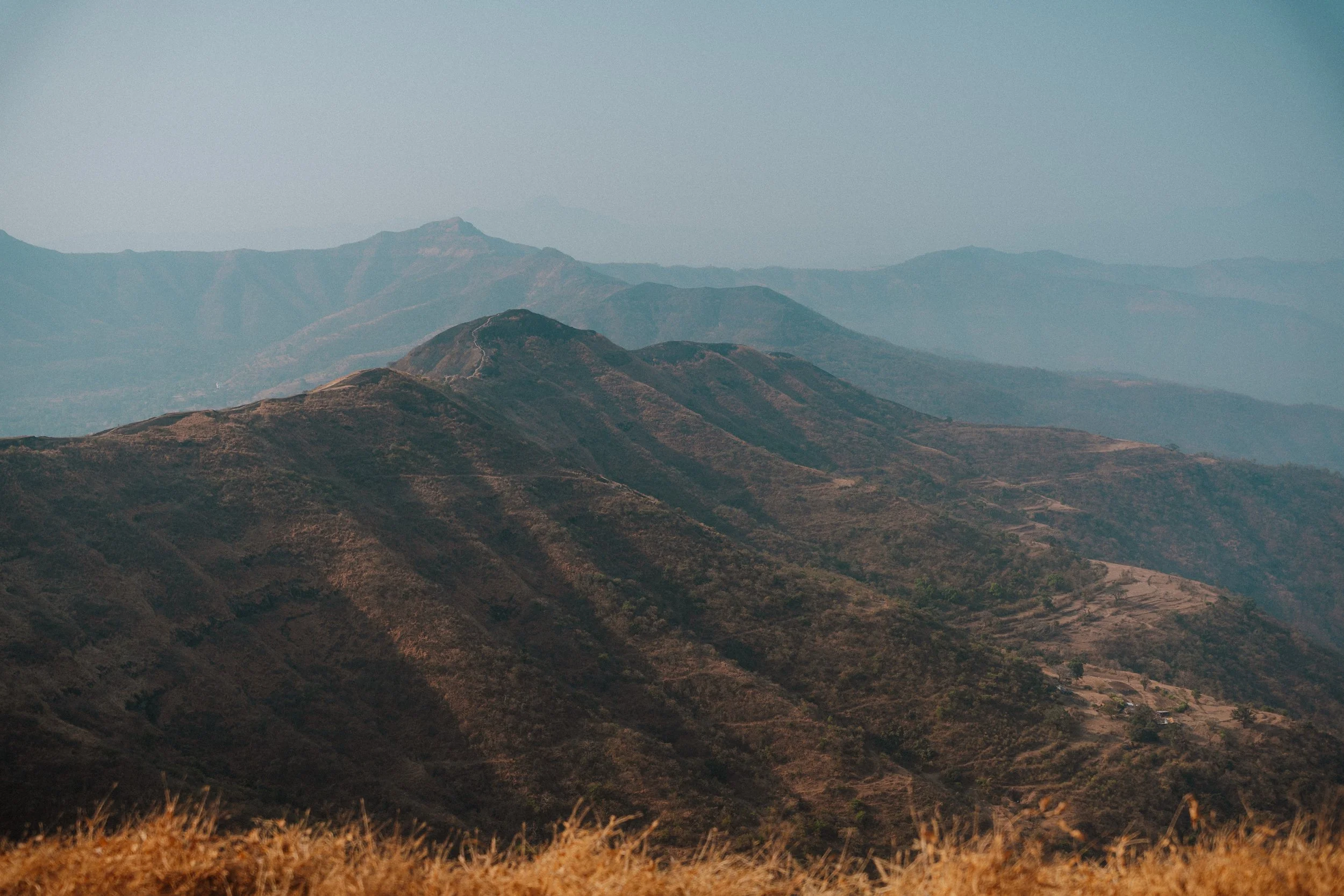 India-260221-02630.jpg